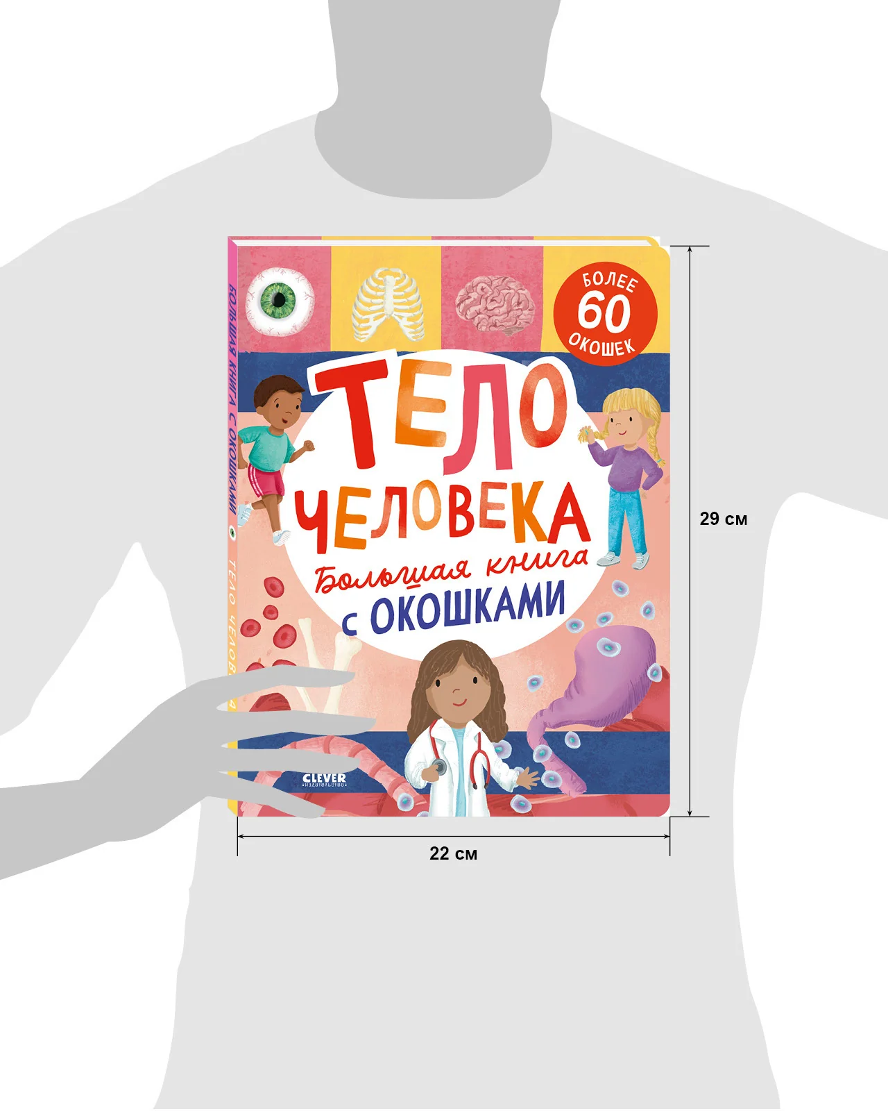 Большая книга с окошками. Тело человека - Image 18