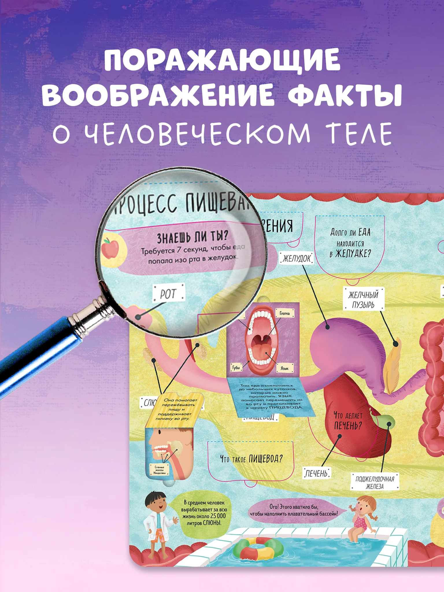 Большая книга с окошками. Тело человека - Image 4