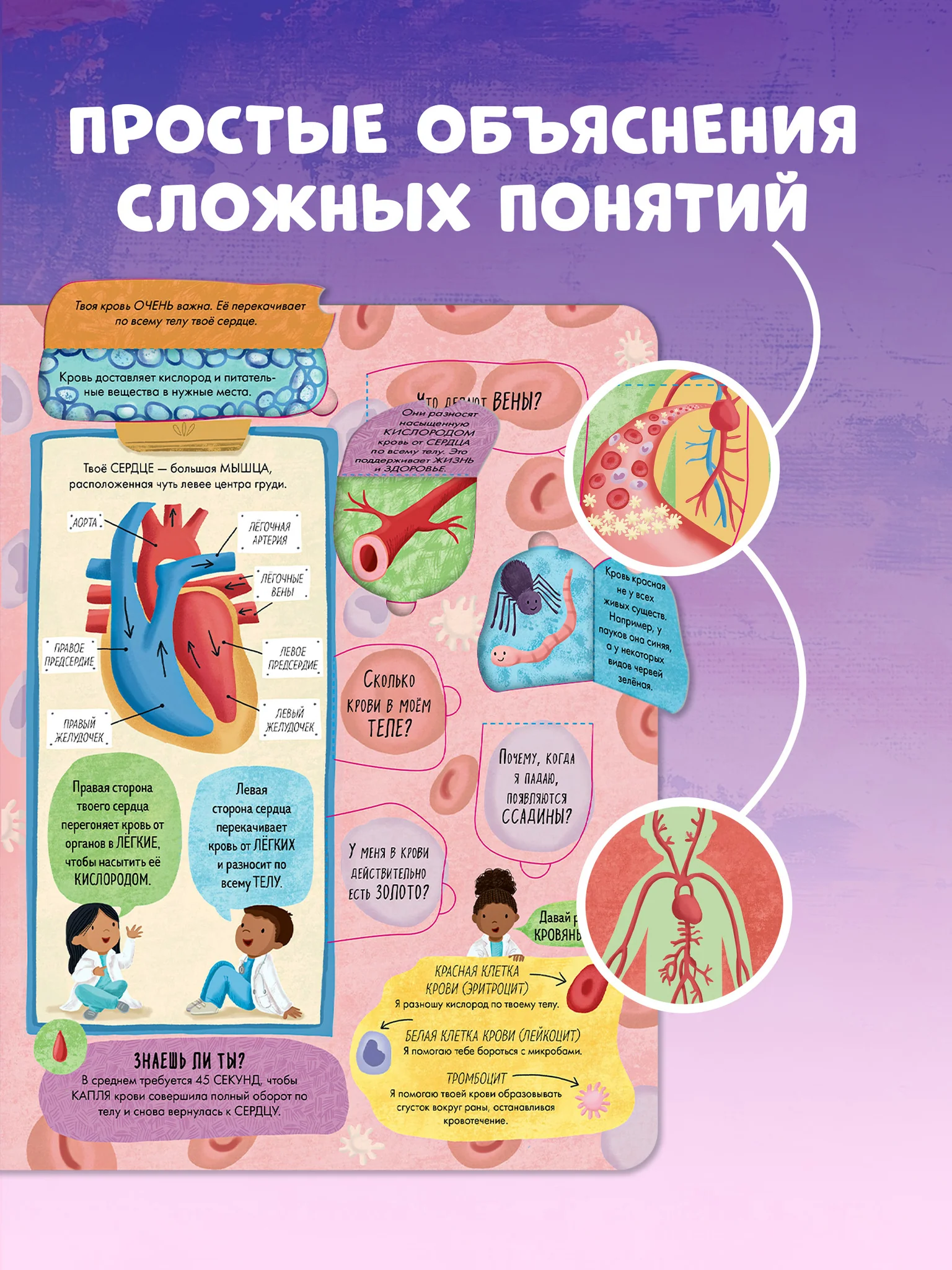 Большая книга с окошками. Тело человека - Image 5