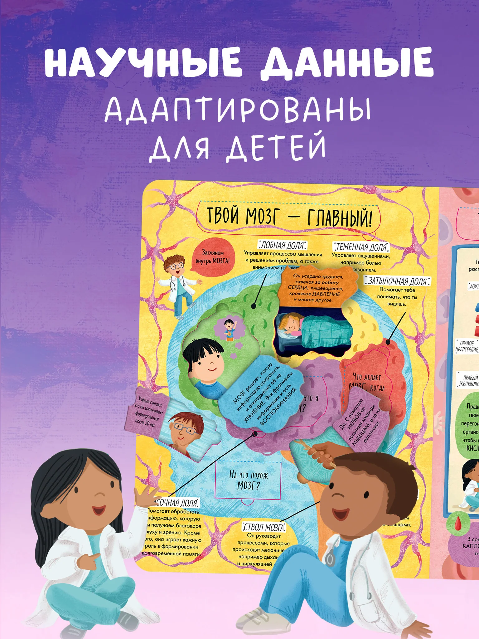Большая книга с окошками. Тело человека - Image 6