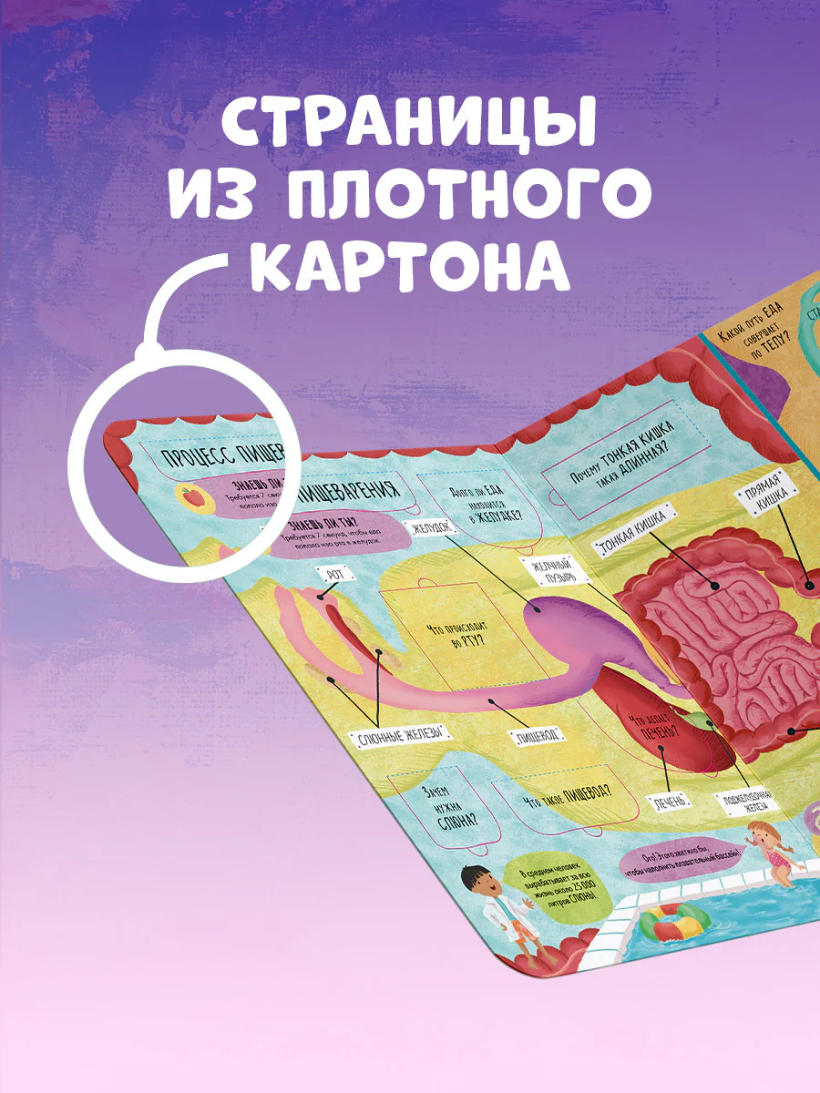 Большая книга с окошками. Тело человека - Image 7