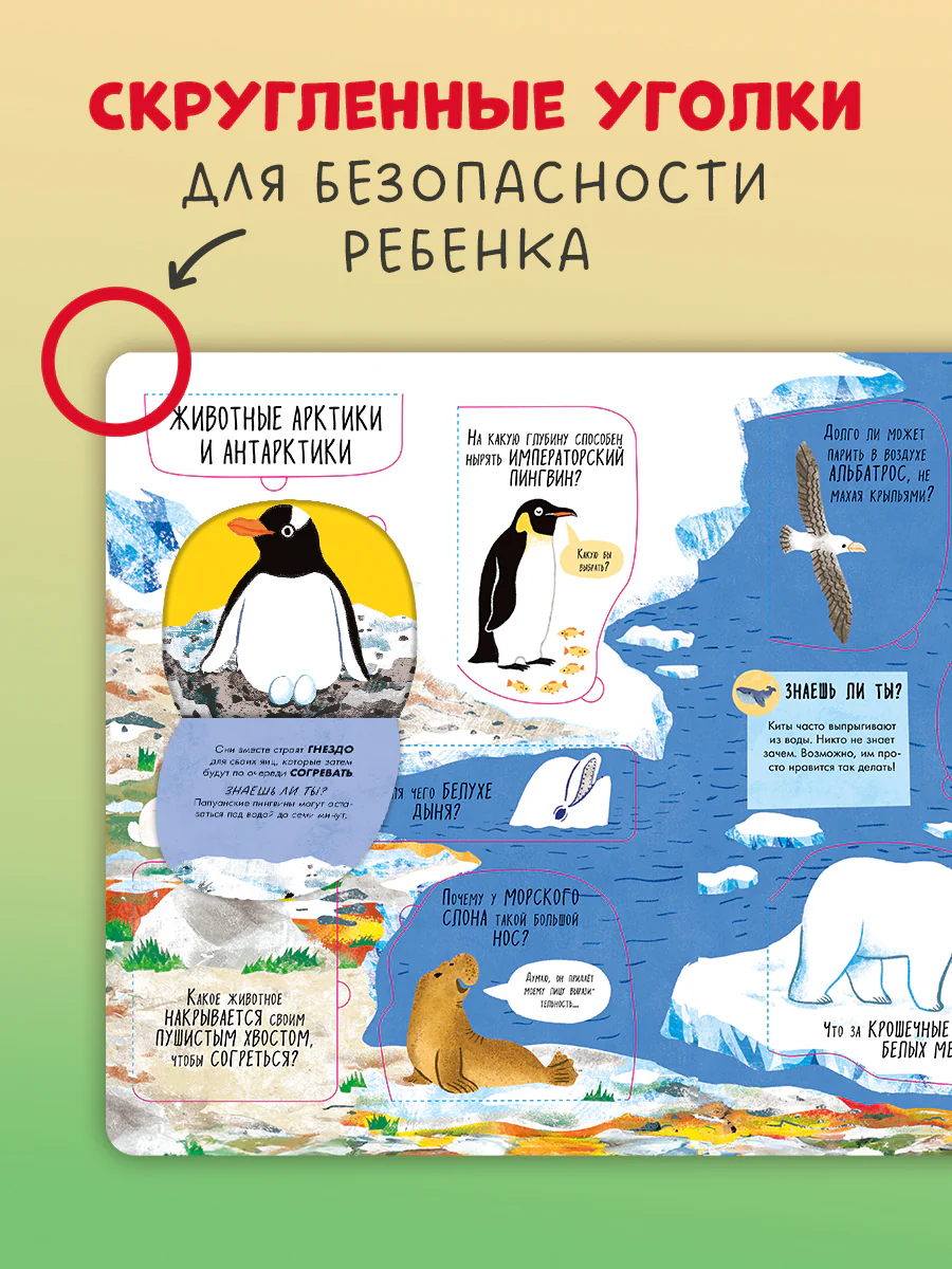 Большая книга с окошками. Животные - Image 7