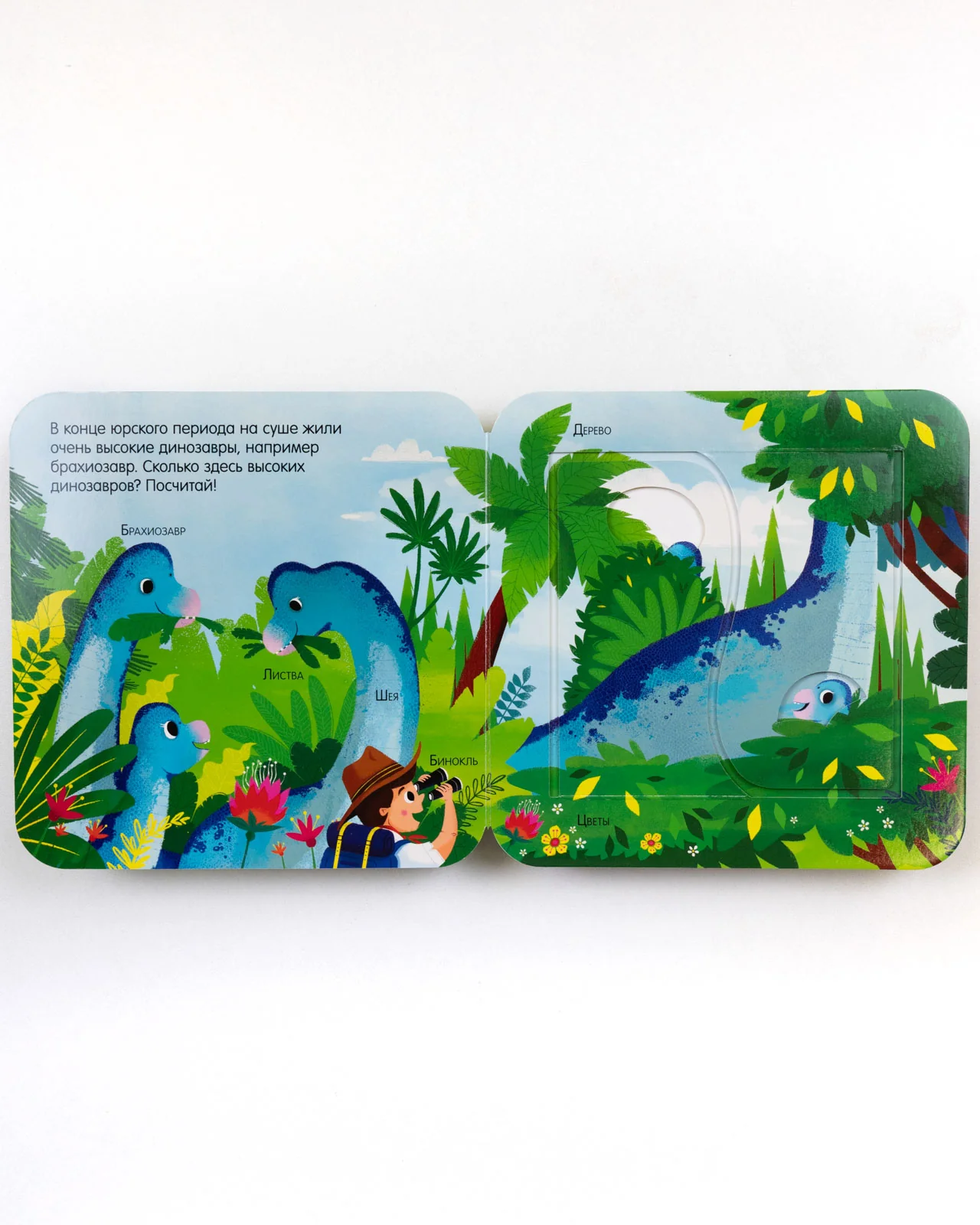 Книжка с окошками. Дино - Image 11