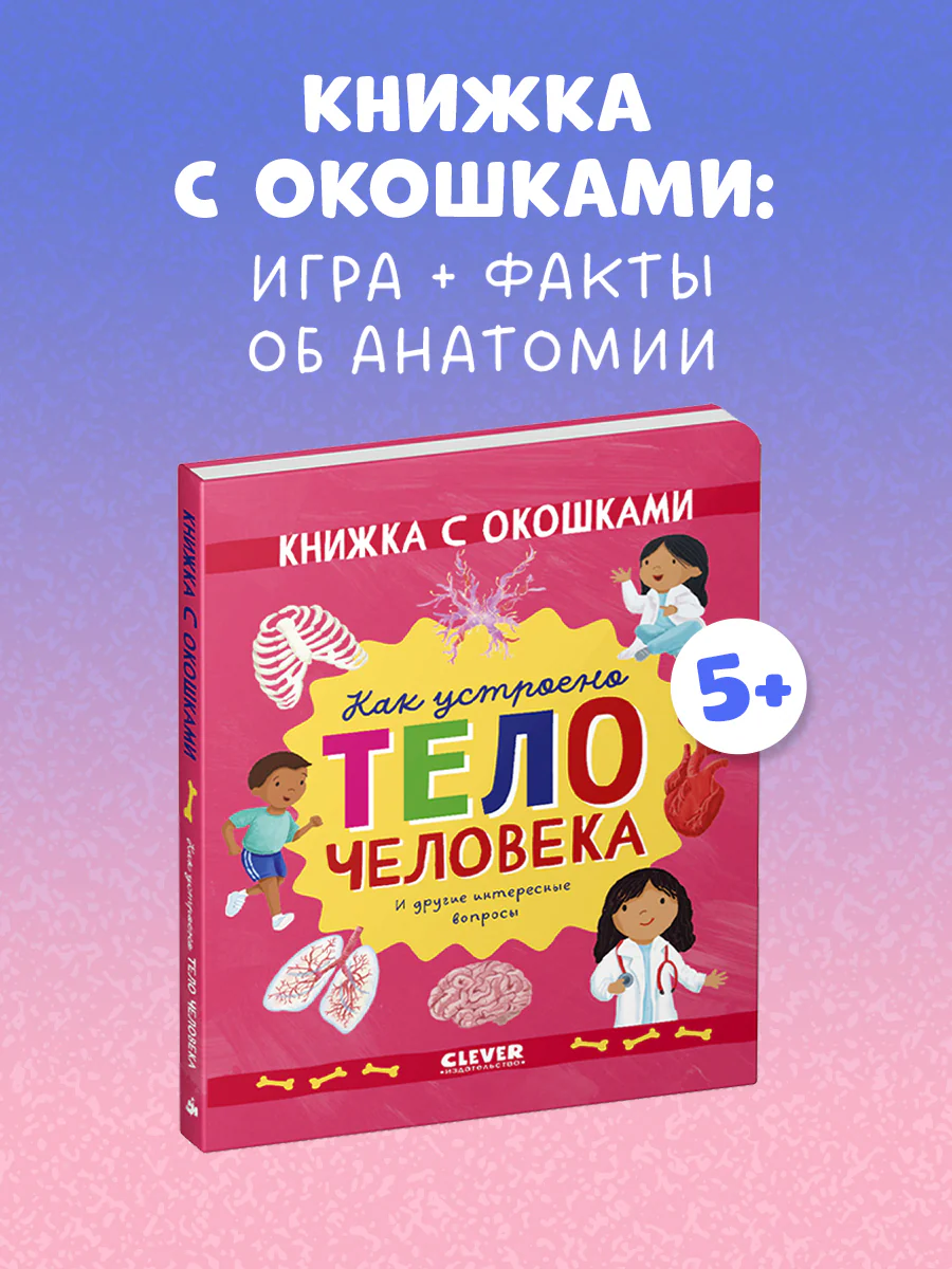 Книжка с окошками. Как устроено тело человека. И другие интересные вопросы - Image 18