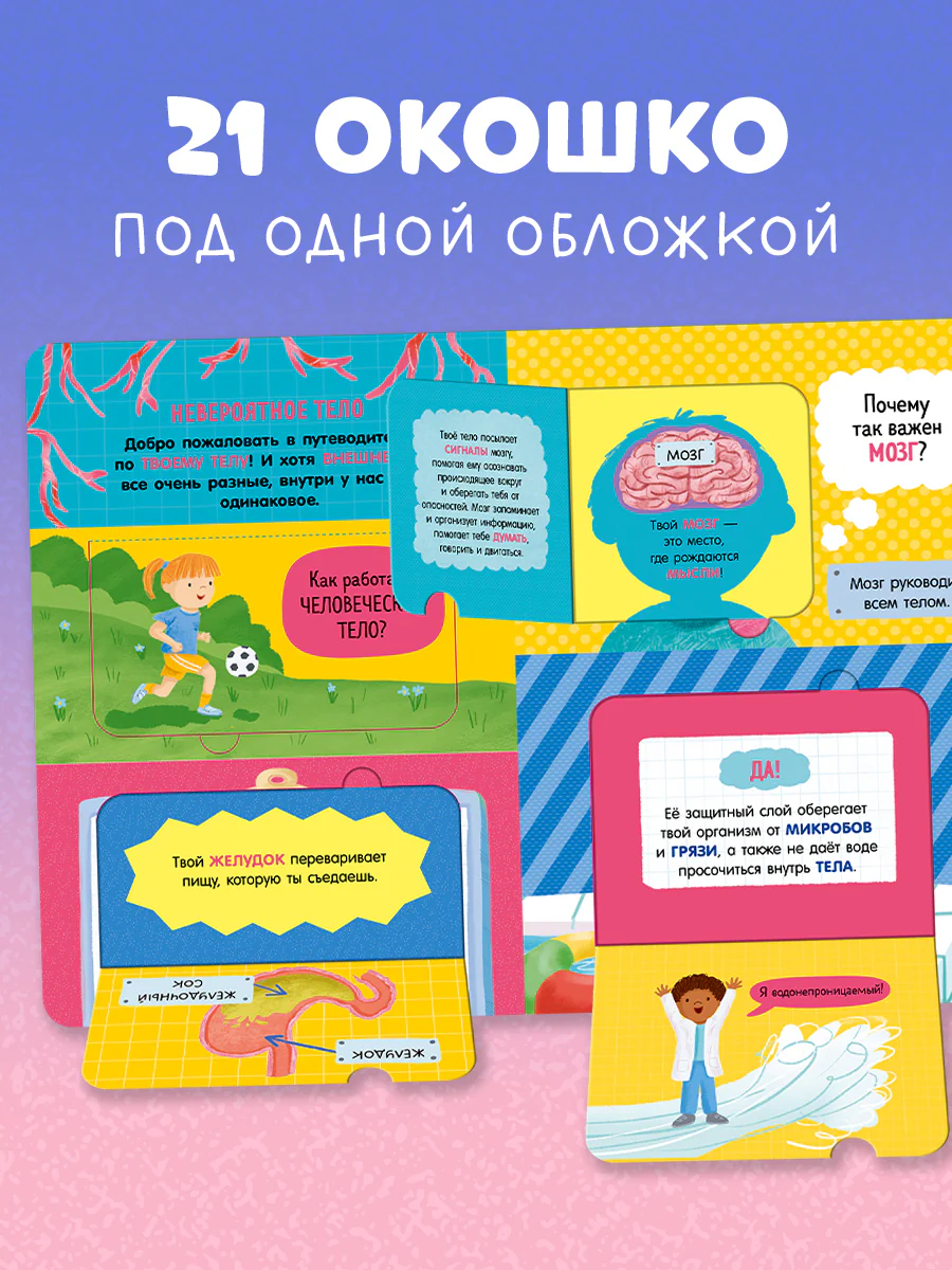 Книжка с окошками. Как устроено тело человека. И другие интересные вопросы - Image 19