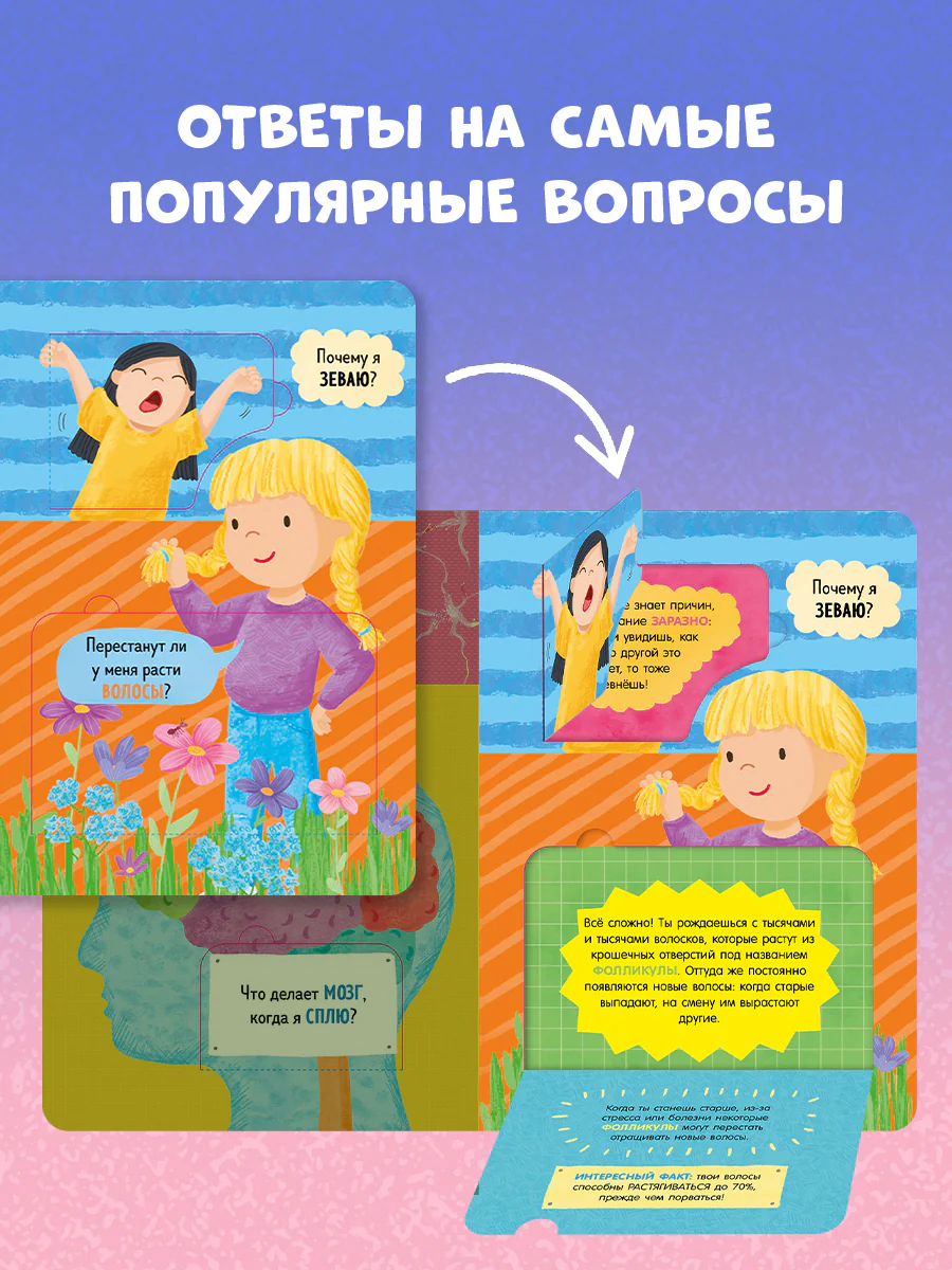 Книжка с окошками. Как устроено тело человека. И другие интересные вопросы - Image 20