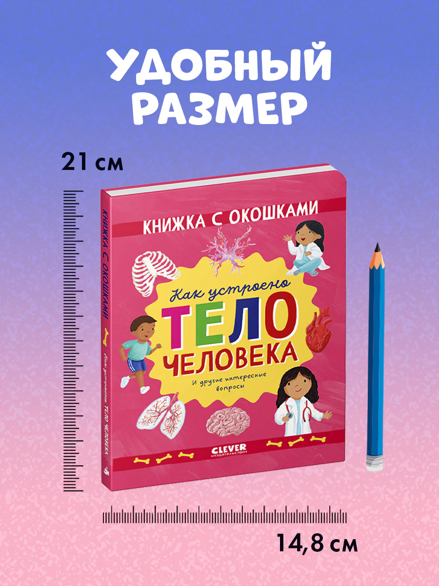 Книжка с окошками. Как устроено тело человека. И другие интересные вопросы - Image 25