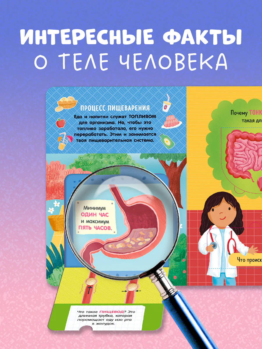 Книжка с окошками. Как устроено тело человека. И другие интересные вопросы - Image 4
