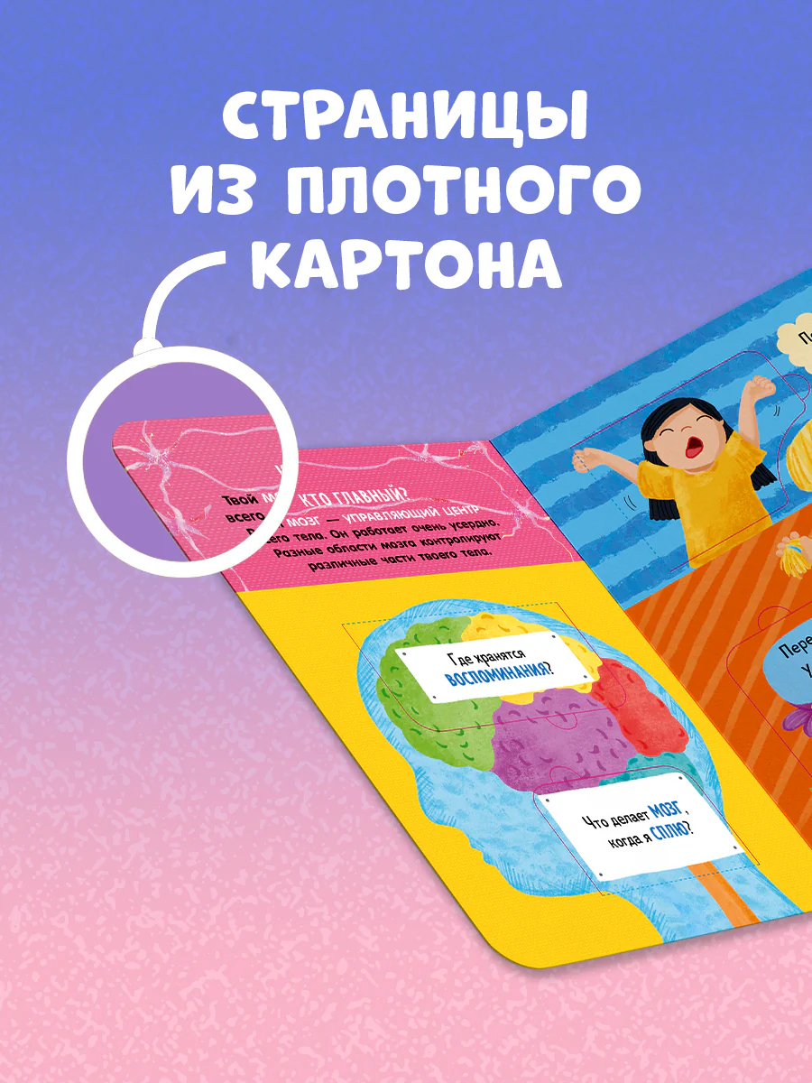 Книжка с окошками. Как устроено тело человека. И другие интересные вопросы - Image 6