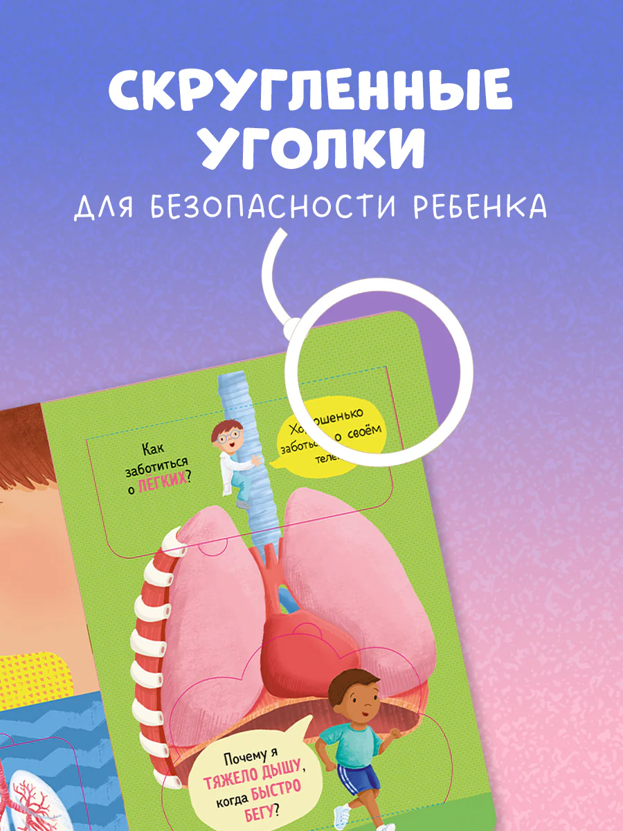 Книжка с окошками. Как устроено тело человека. И другие интересные вопросы - Image 7