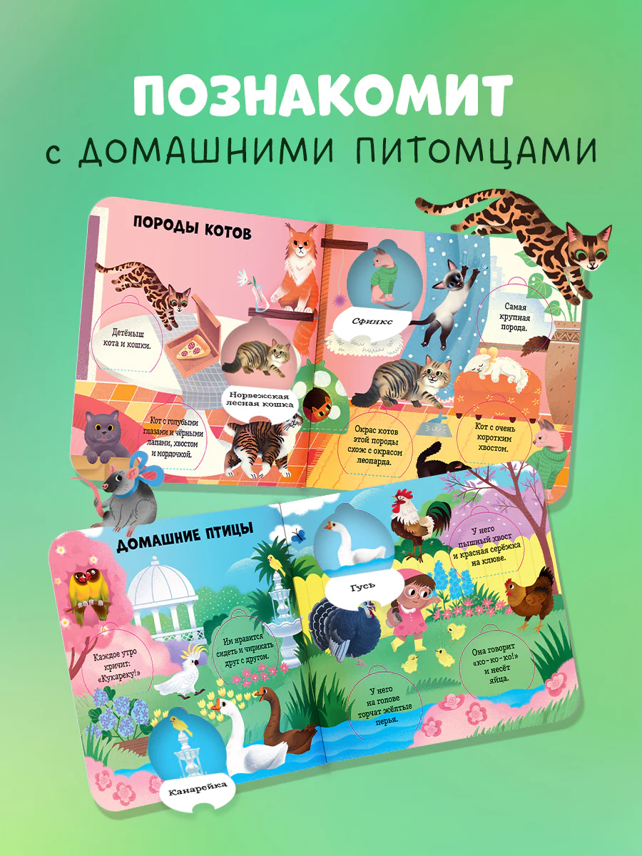 Книжка с окошками. Любимые животные. Энциклопедия с окошками - Image 2