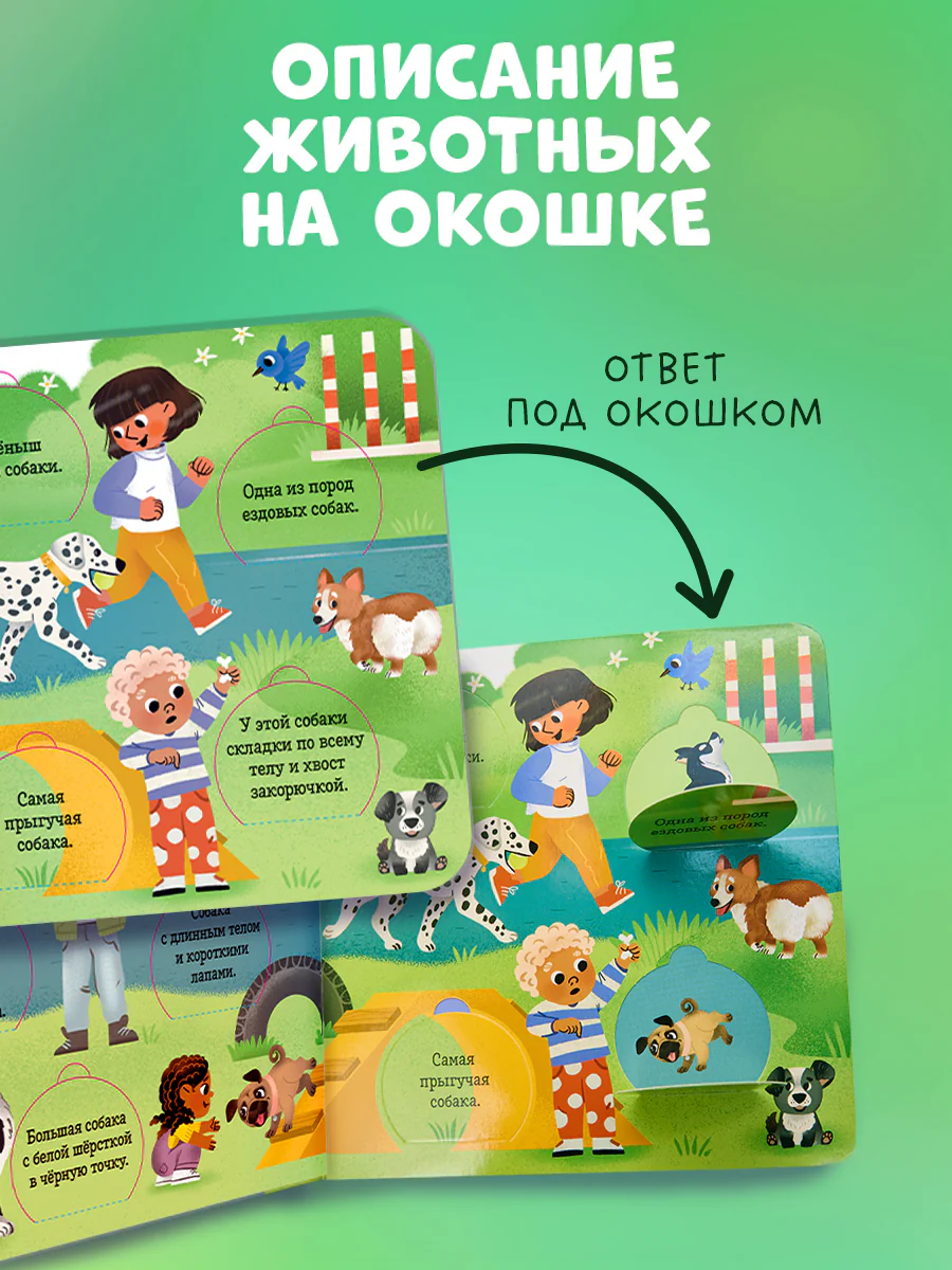 Книжка с окошками. Любимые животные. Энциклопедия с окошками - Image 3