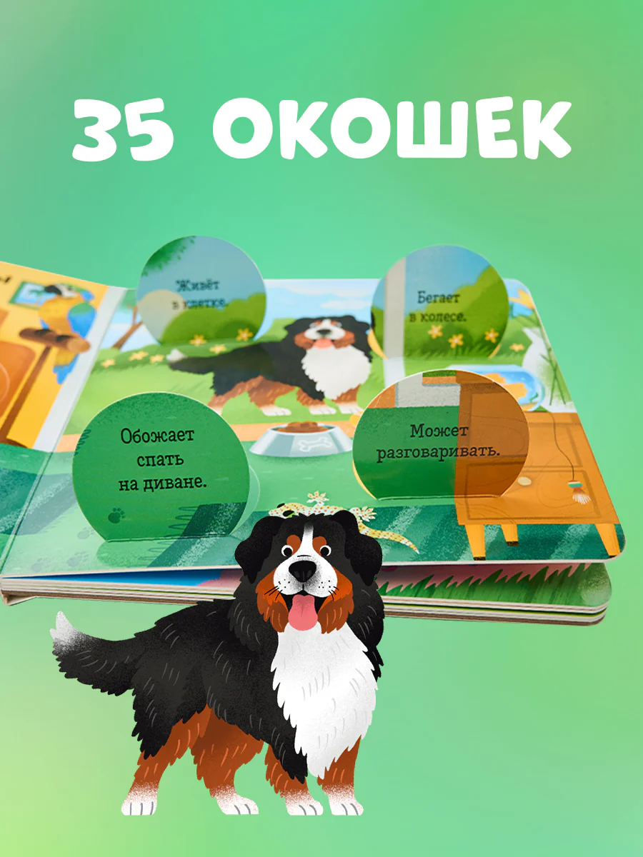 Книжка с окошками. Любимые животные. Энциклопедия с окошками - Image 4