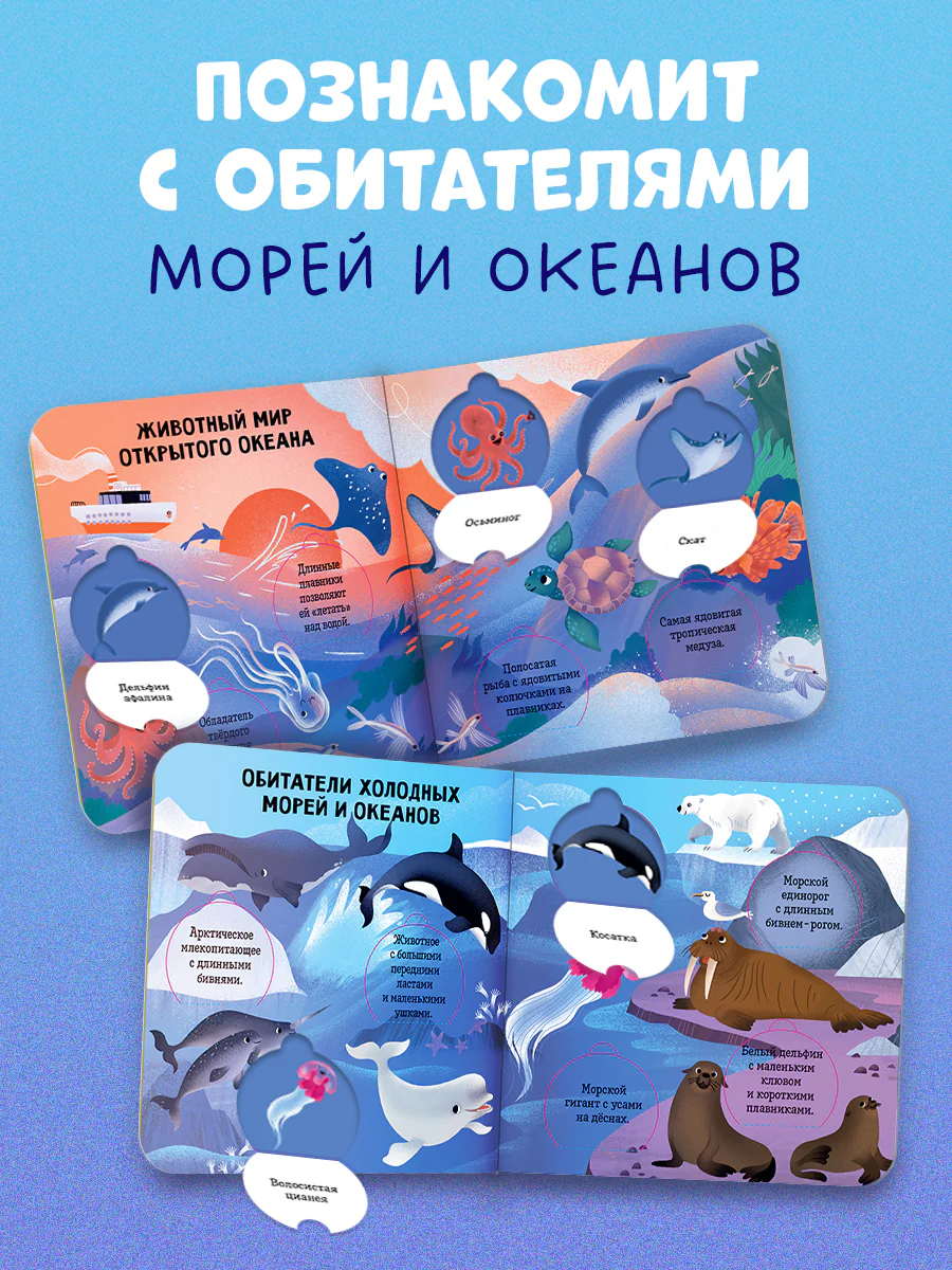 Книжка с окошками. Океаны и моря. Энциклопедия с окошками - Image 2