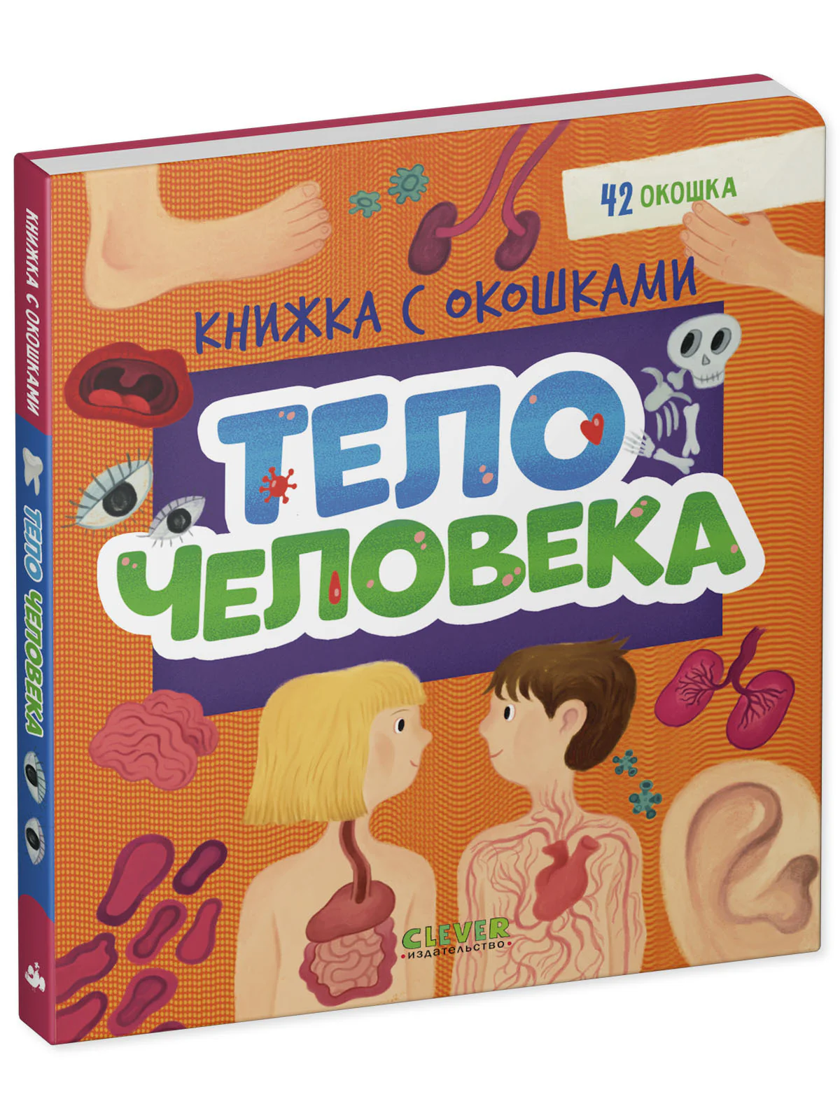 Книжка с окошками. Тело человека - Image 11