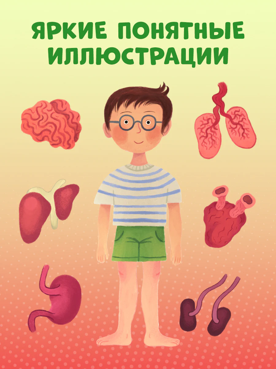 Книжка с окошками. Тело человека - Image 4