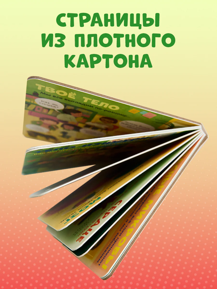 Книжка с окошками. Тело человека - Image 7