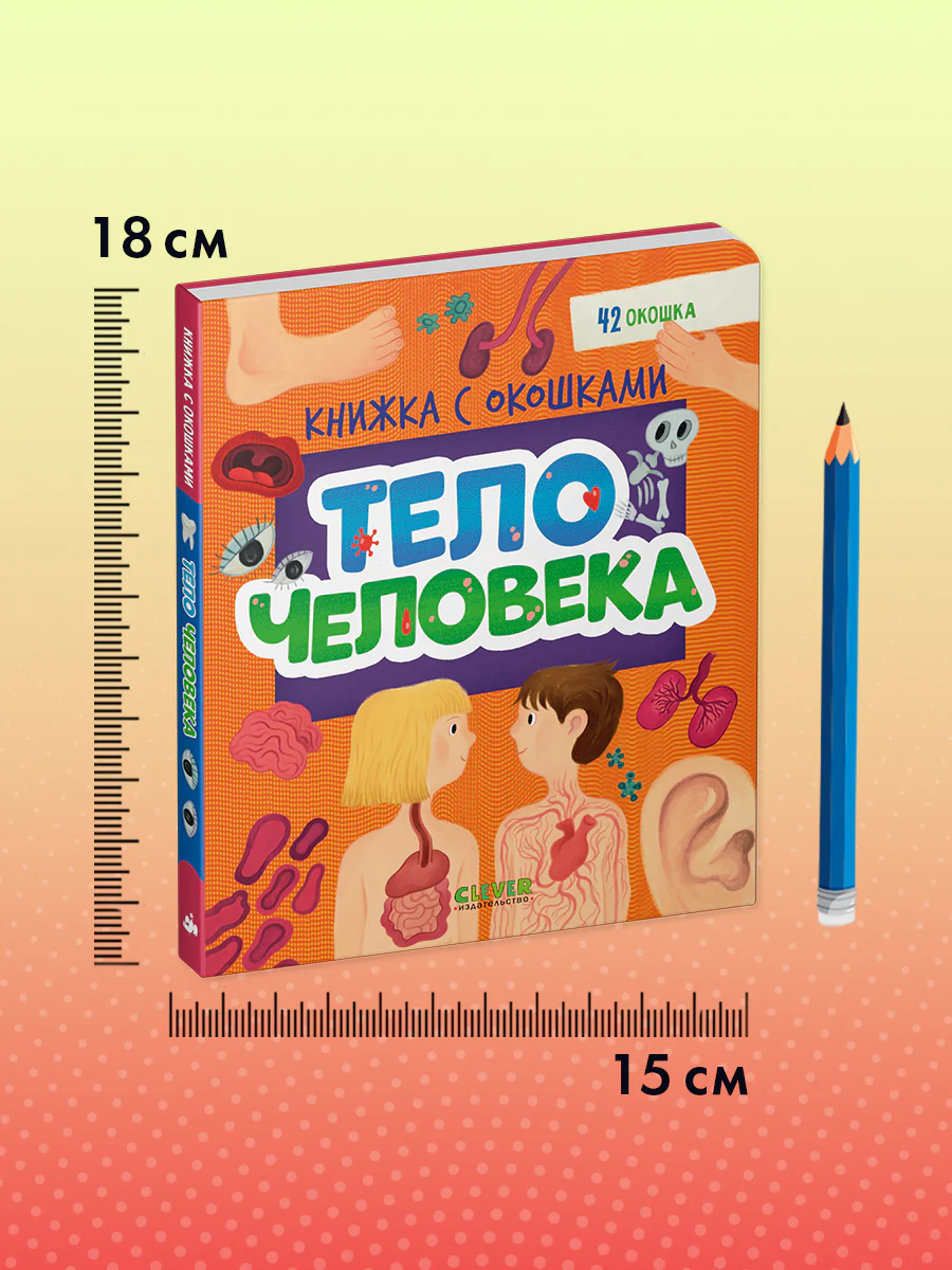 Книжка с окошками. Тело человека - Image 9