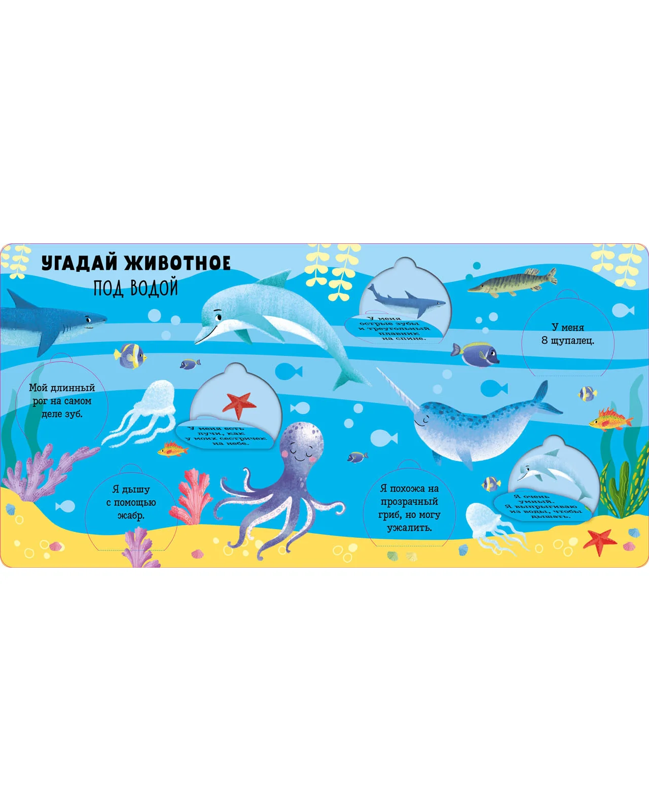 Книжка с окошками. Угадай животное - Image 13