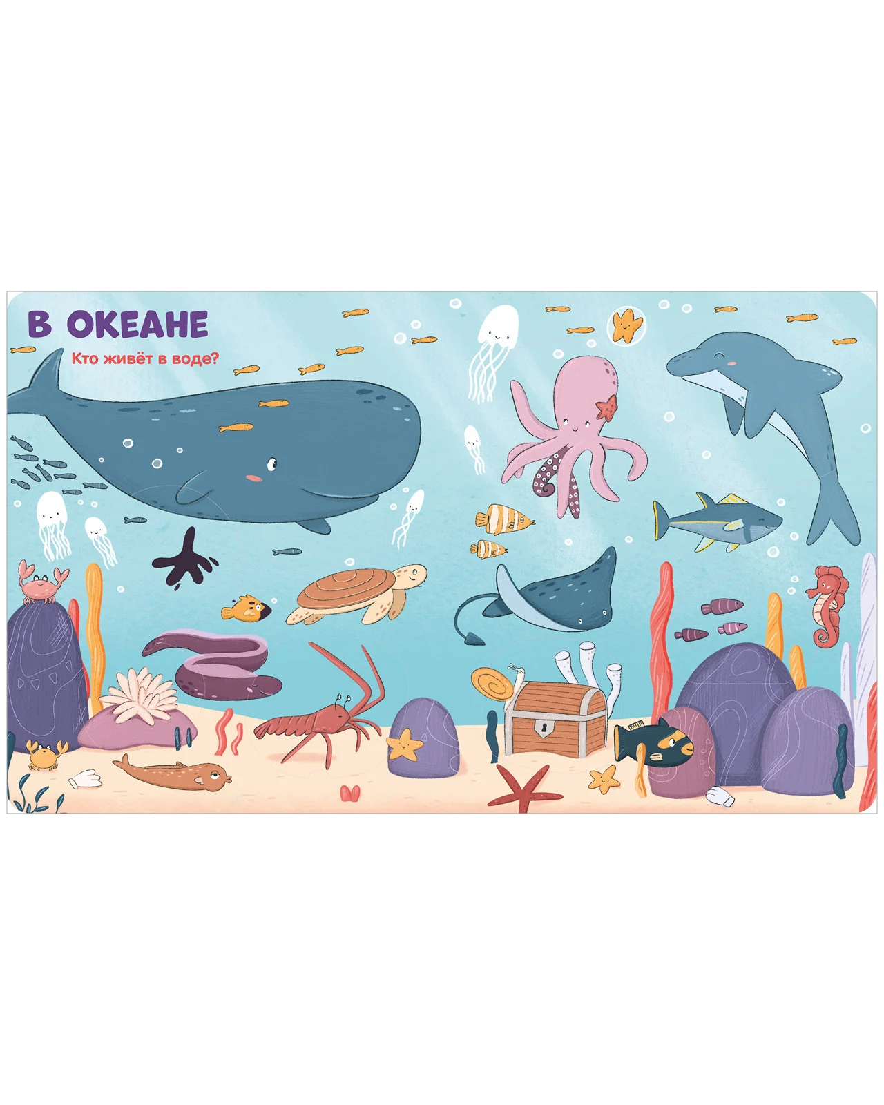Книжка с окошками. Животные - Image 12