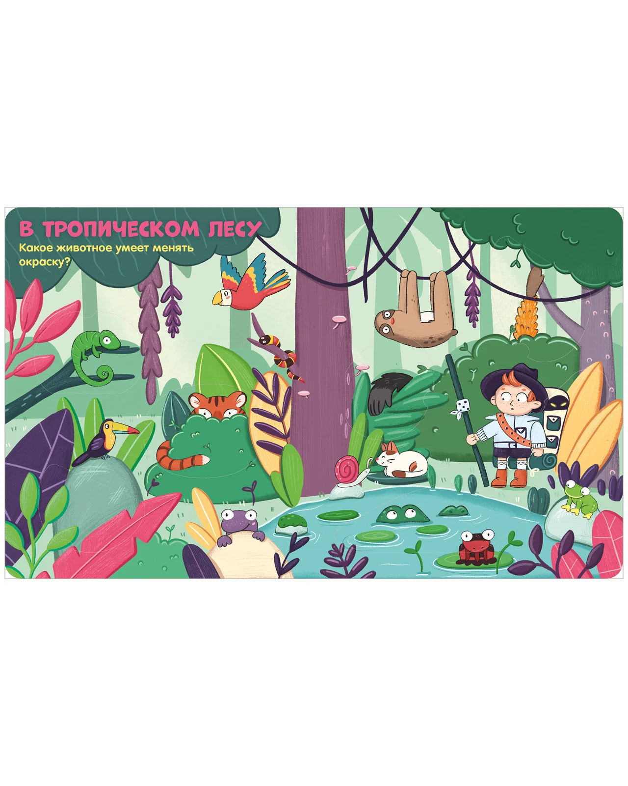 Книжка с окошками. Животные - Image 15
