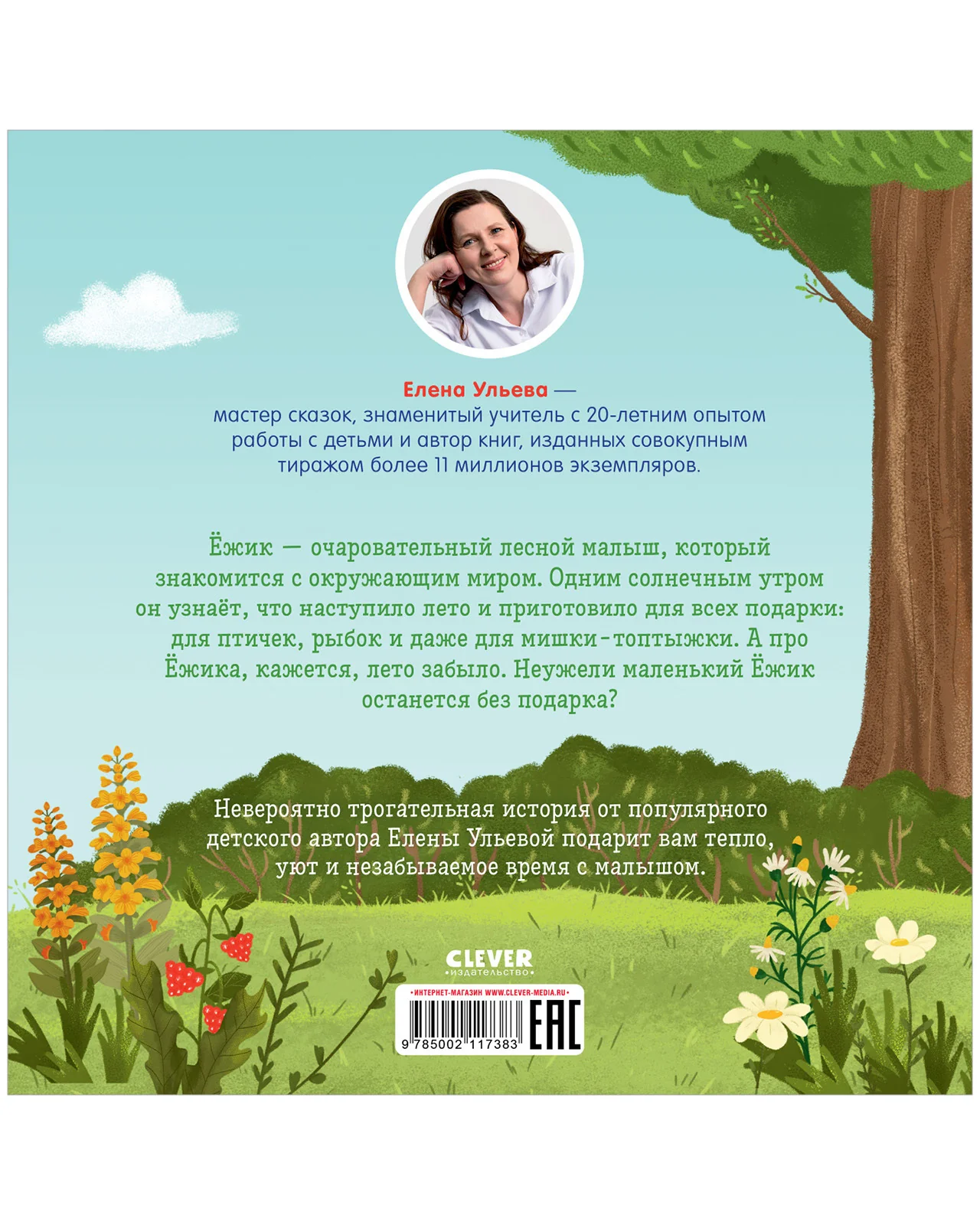Книжки-картинки (мягкая обложка). Ёжик и солнечное лето - Image 15