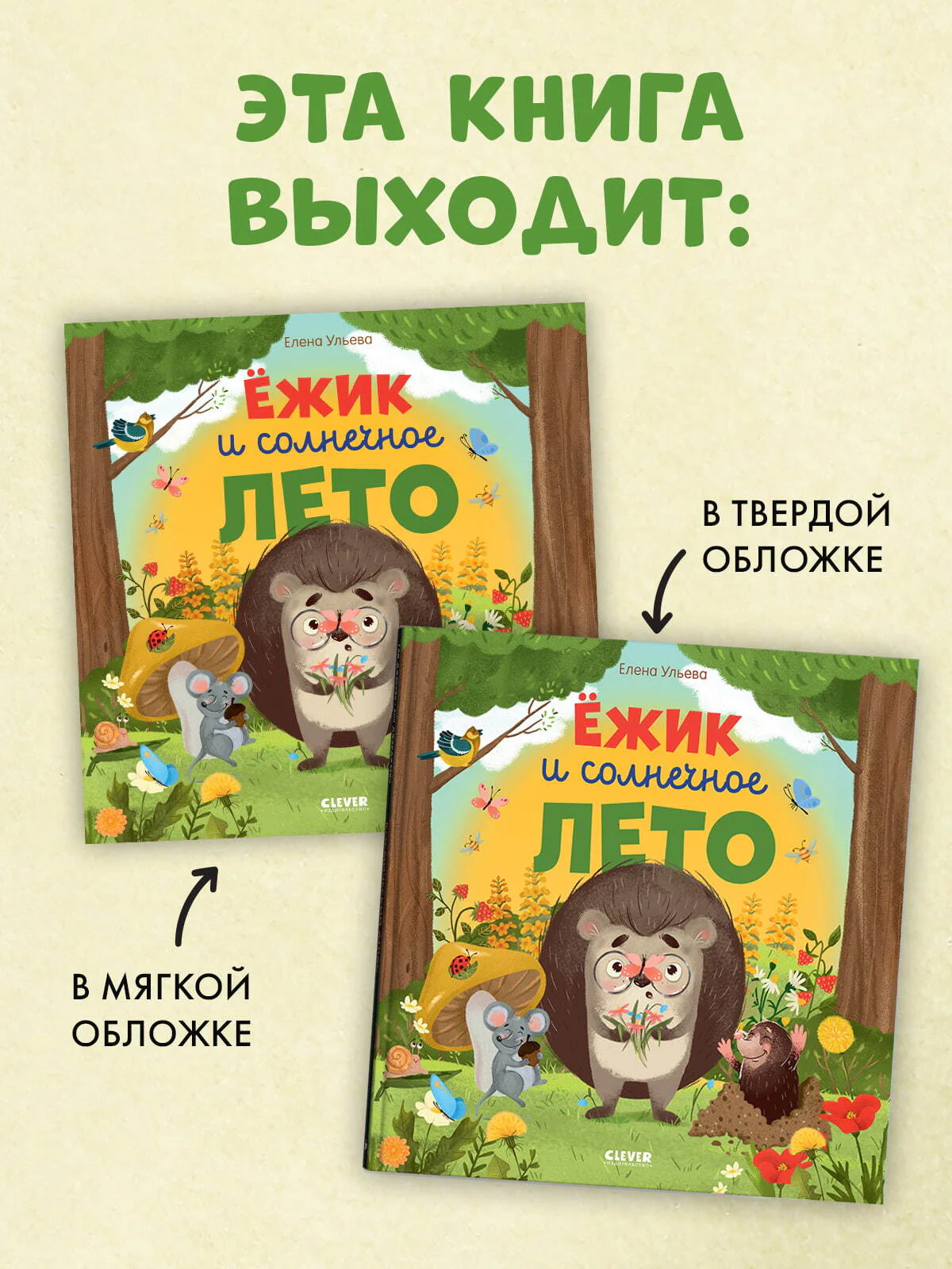 Книжки-картинки (мягкая обложка). Ёжик и солнечное лето - Image 6