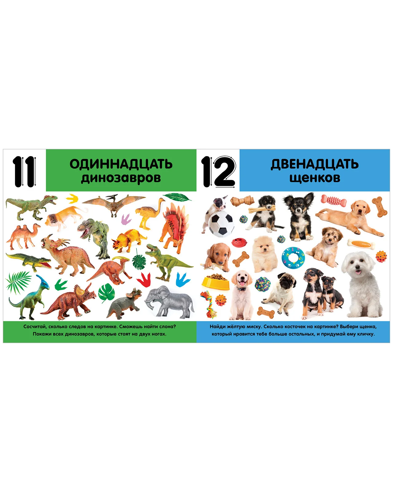 Книжки-картонки. Фотокнига. Цифры - Image 12