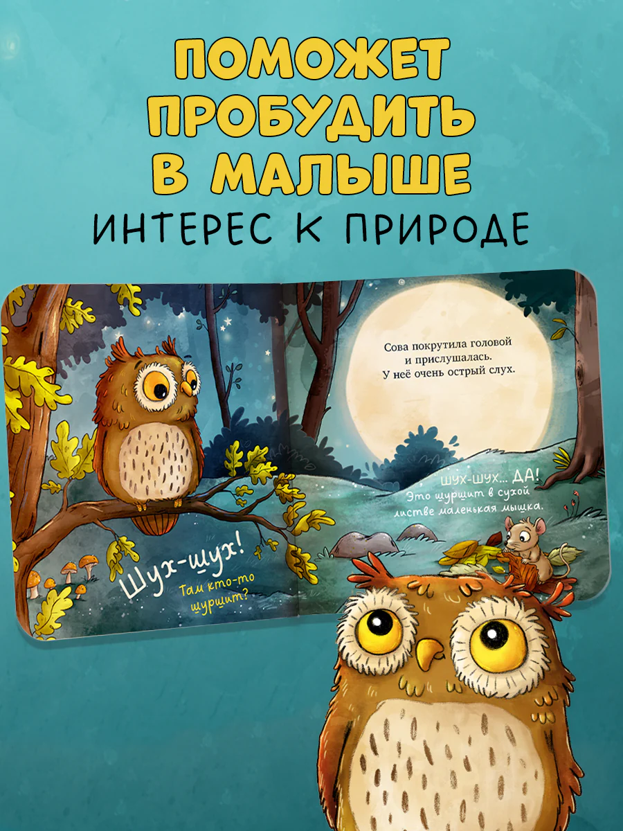 Книжки-картонки. Совушка в лесу. Первая книга малыша о природе - Image 2