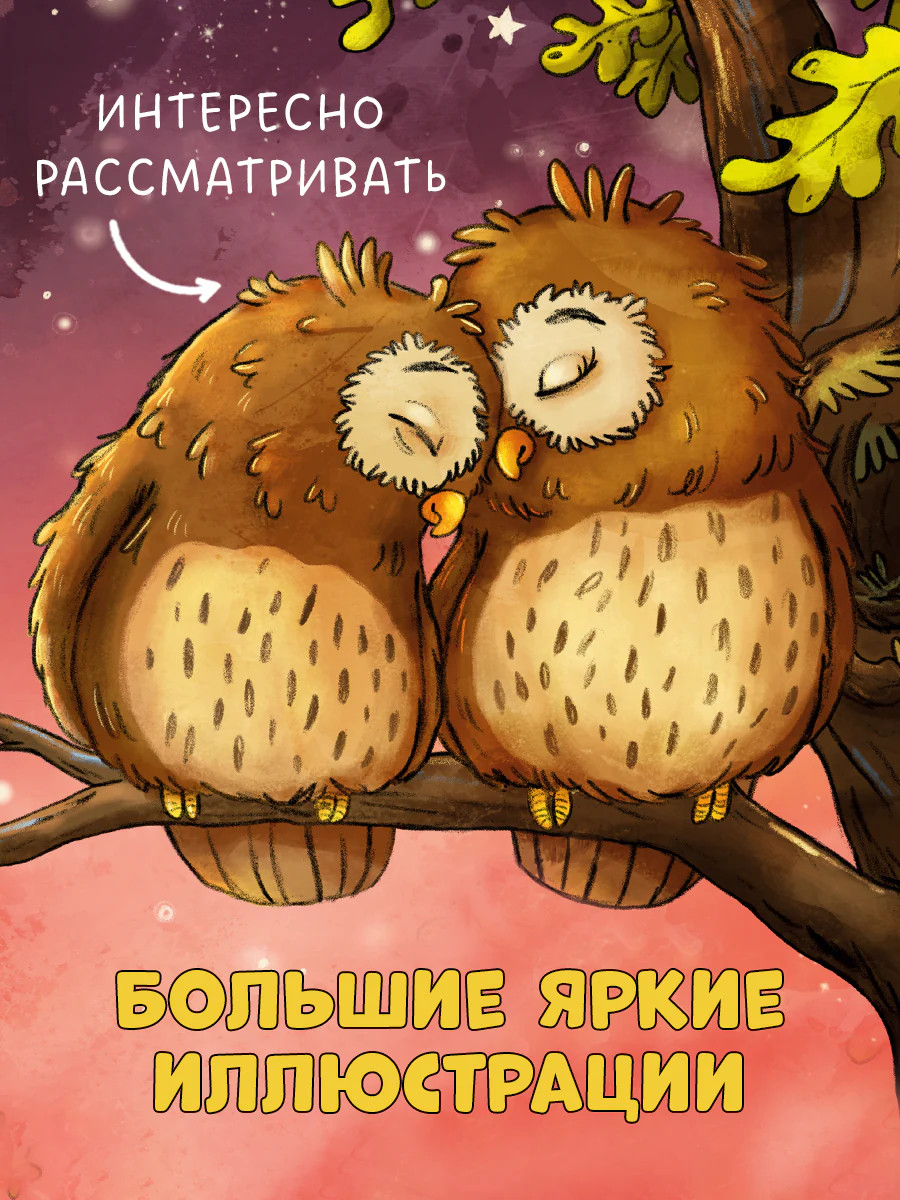 Книжки-картонки. Совушка в лесу. Первая книга малыша о природе - Image 3