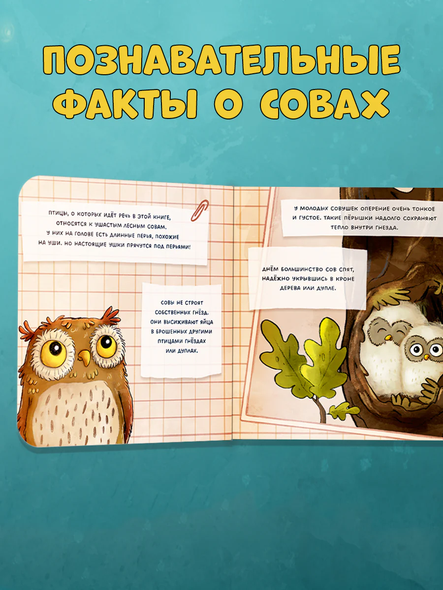 Книжки-картонки. Совушка в лесу. Первая книга малыша о природе - Image 4