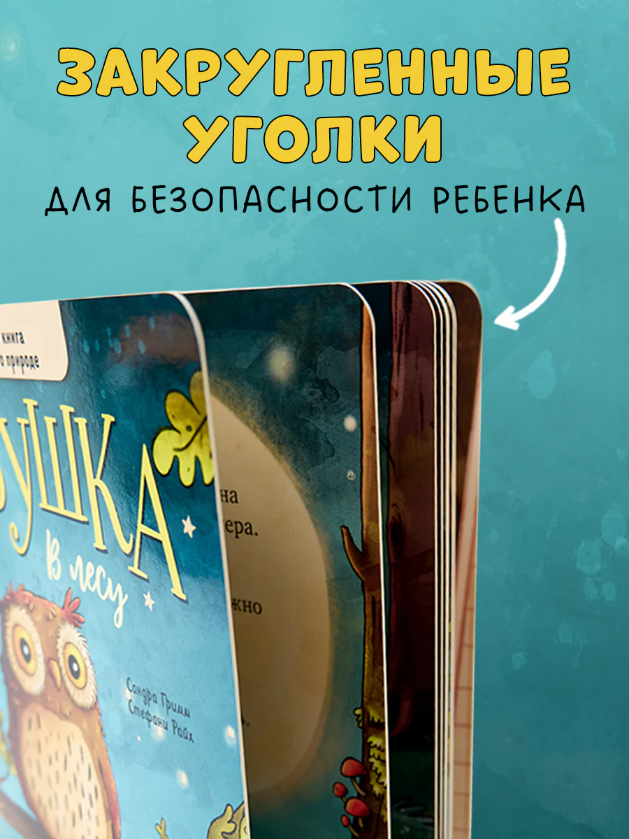 Книжки-картонки. Совушка в лесу. Первая книга малыша о природе - Image 5