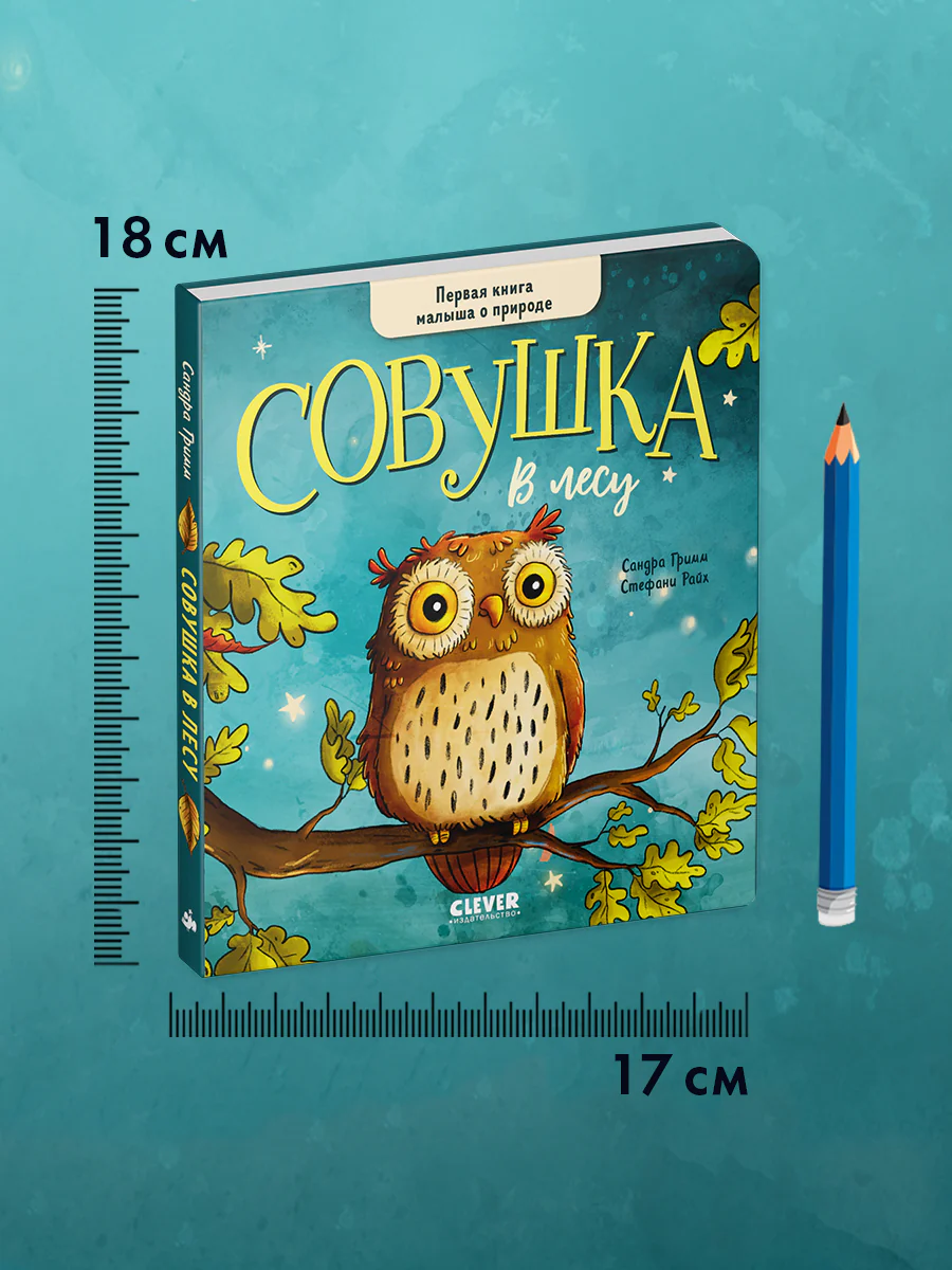 Книжки-картонки. Совушка в лесу. Первая книга малыша о природе - Image 7