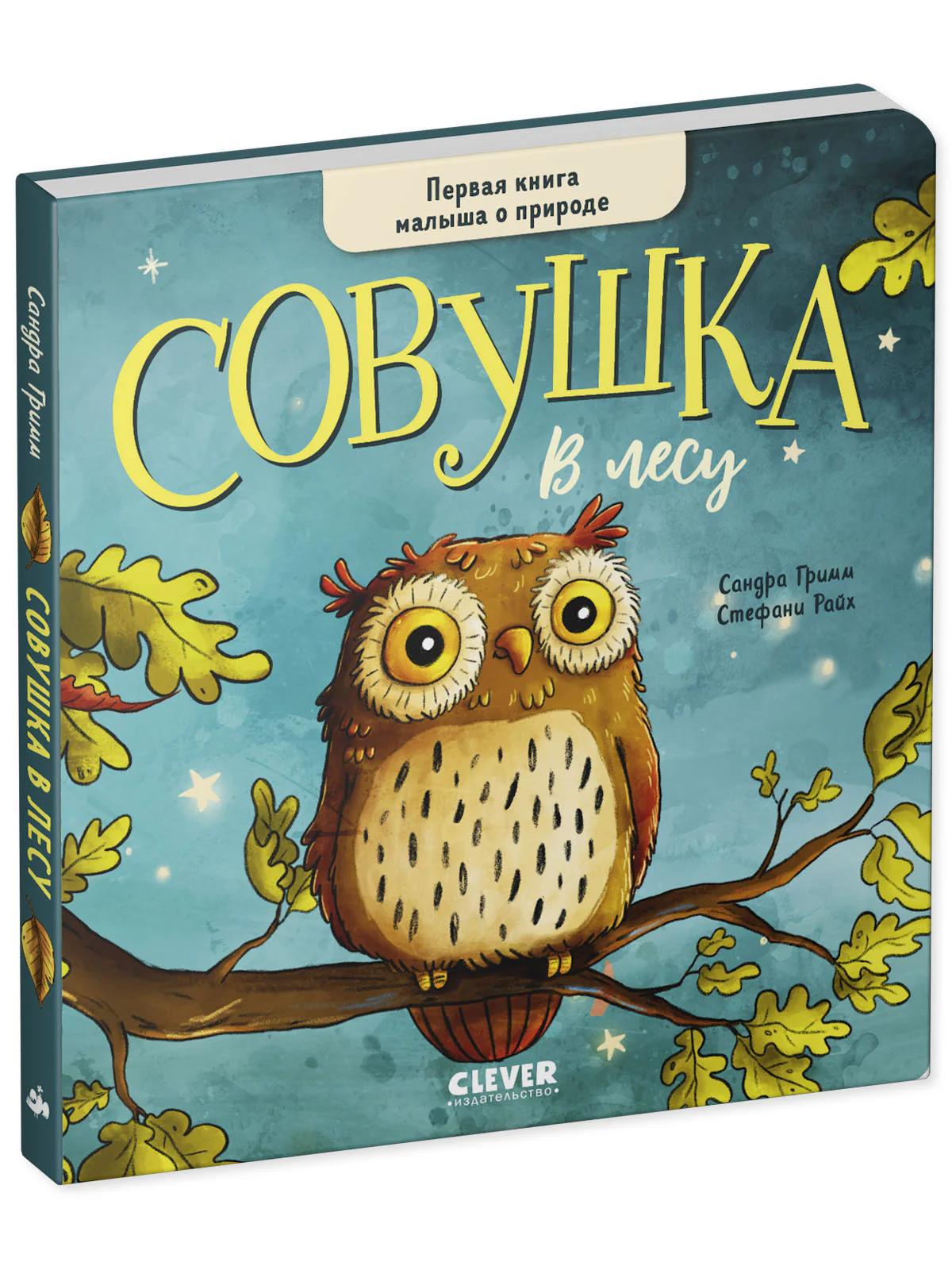 Книжки-картонки. Совушка в лесу. Первая книга малыша о природе - Image 9