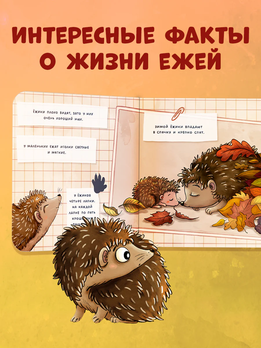 Книжки-картонки. Ёжик в саду. Первая книга малыша о природе - Image 4