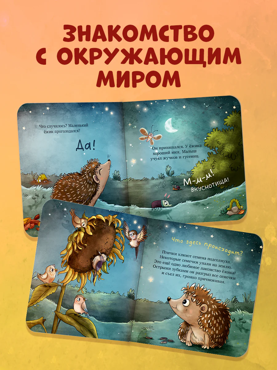 Книжки-картонки. Ёжик в саду. Первая книга малыша о природе - Image 5