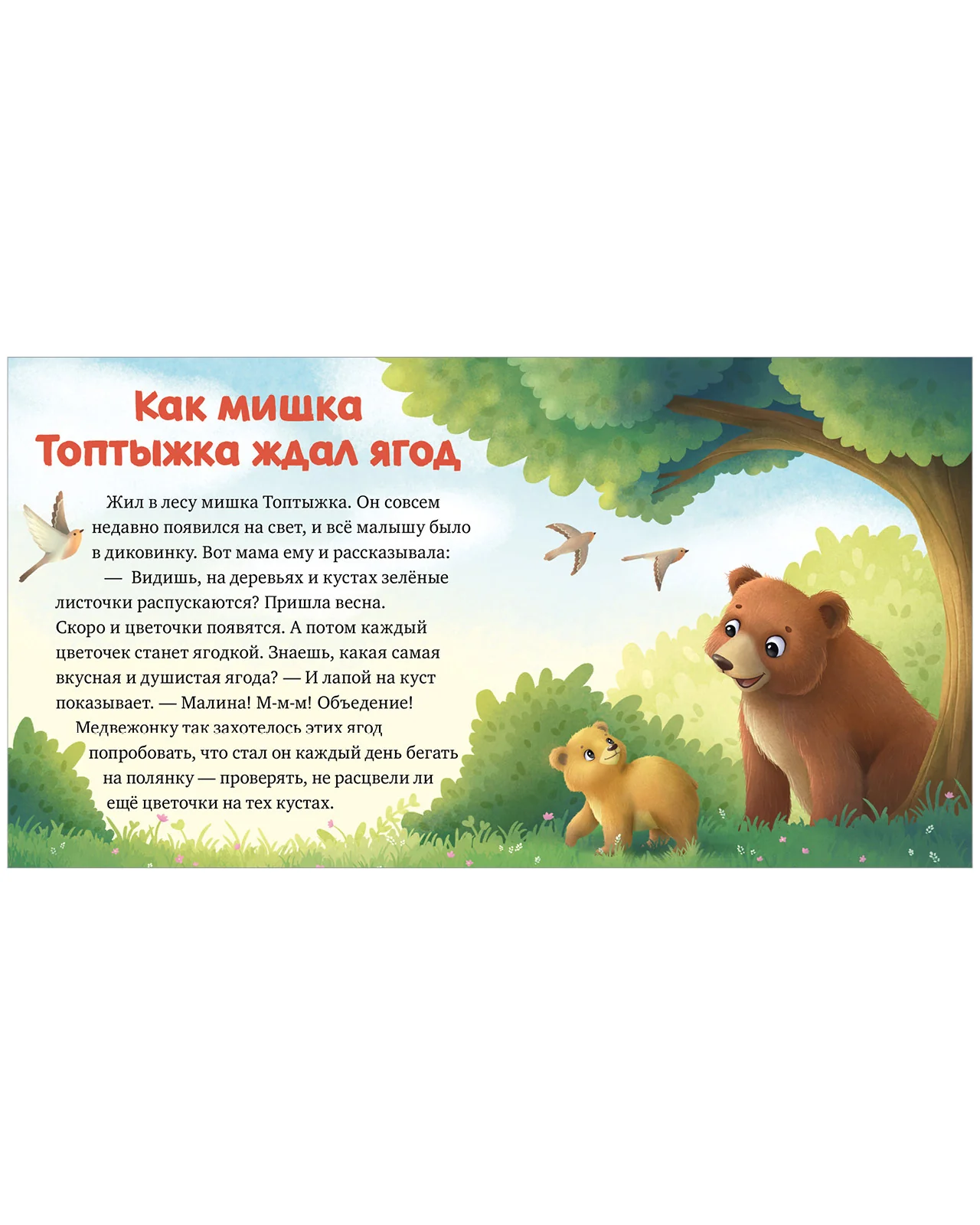 Любознательный малыш. Лесные малыши - Image 5