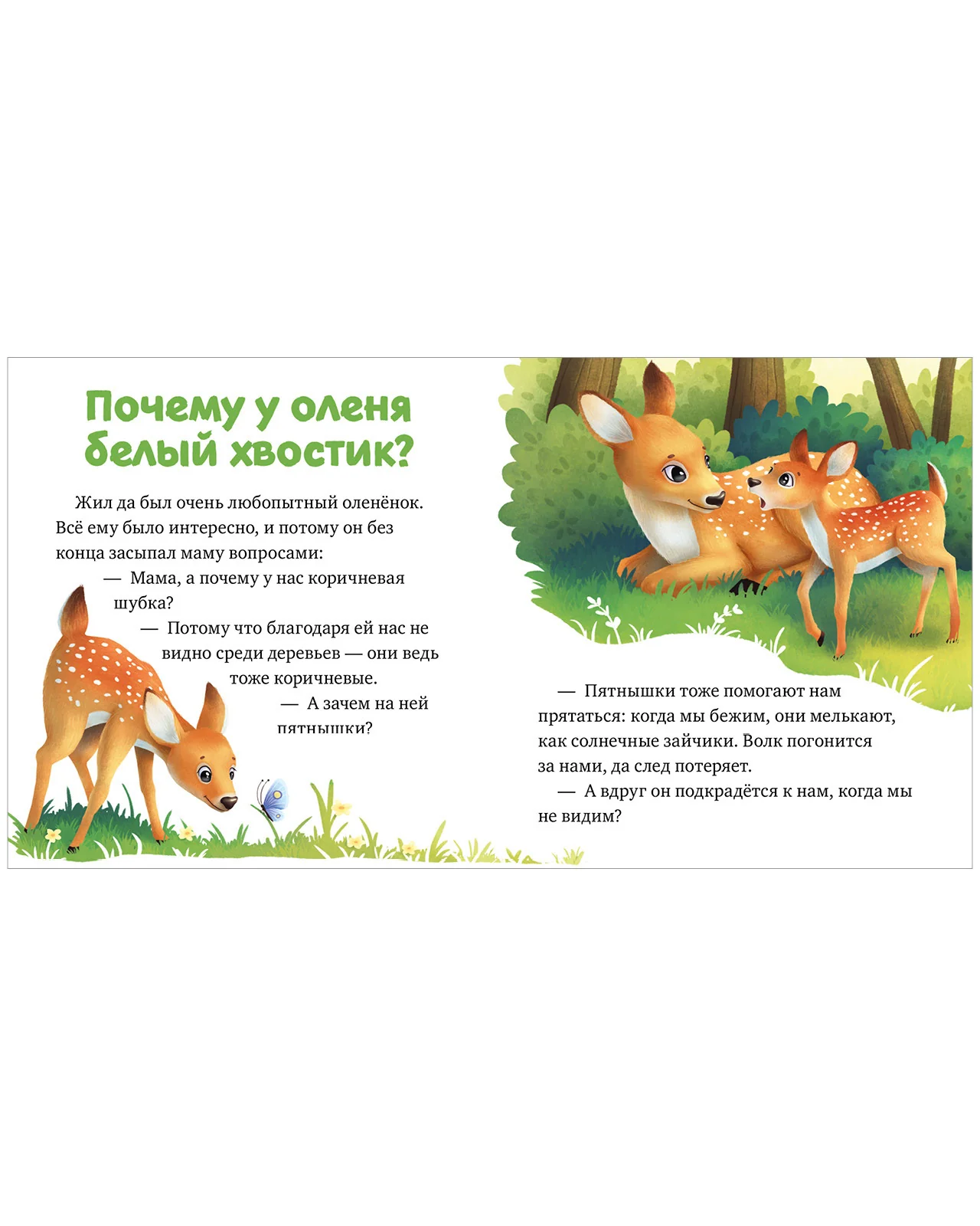 Любознательный малыш. Лесные малыши - Image 8