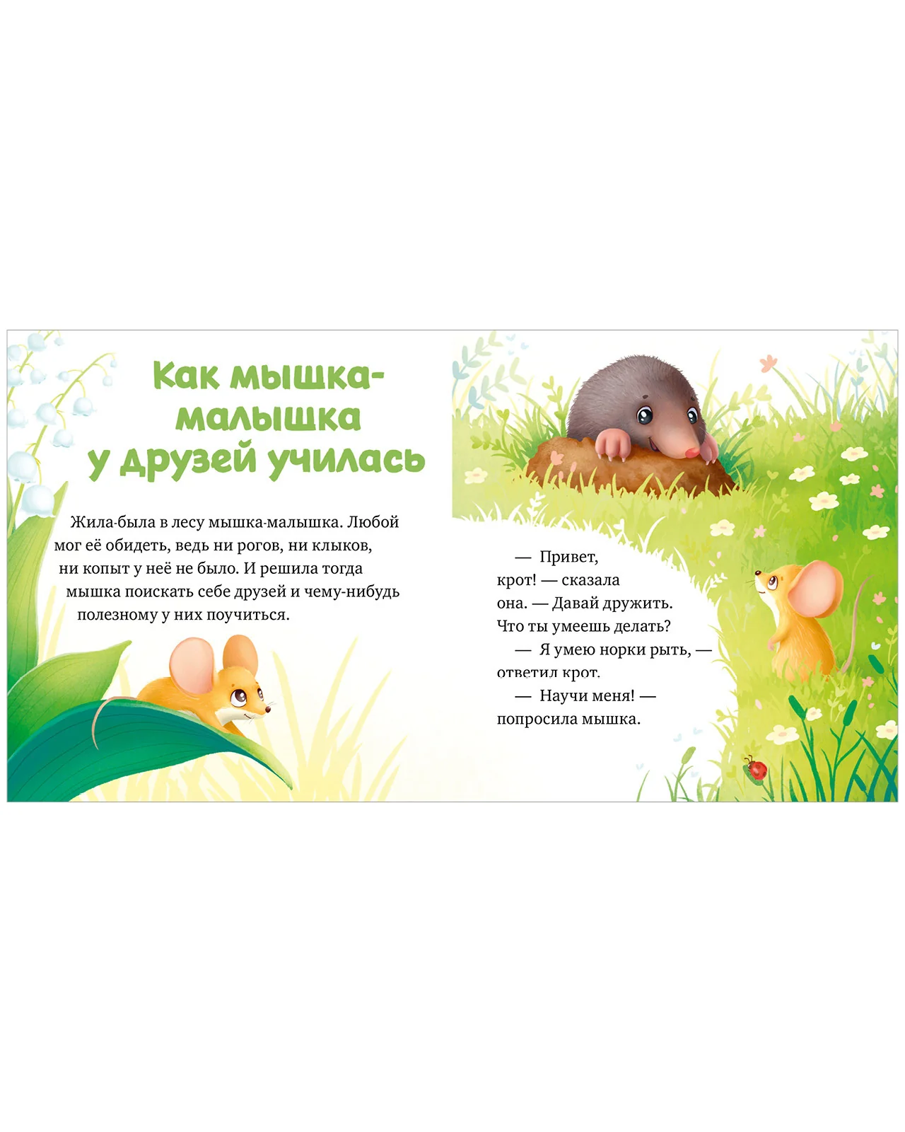 Любознательный малыш. Зверята в лесу - Image 10