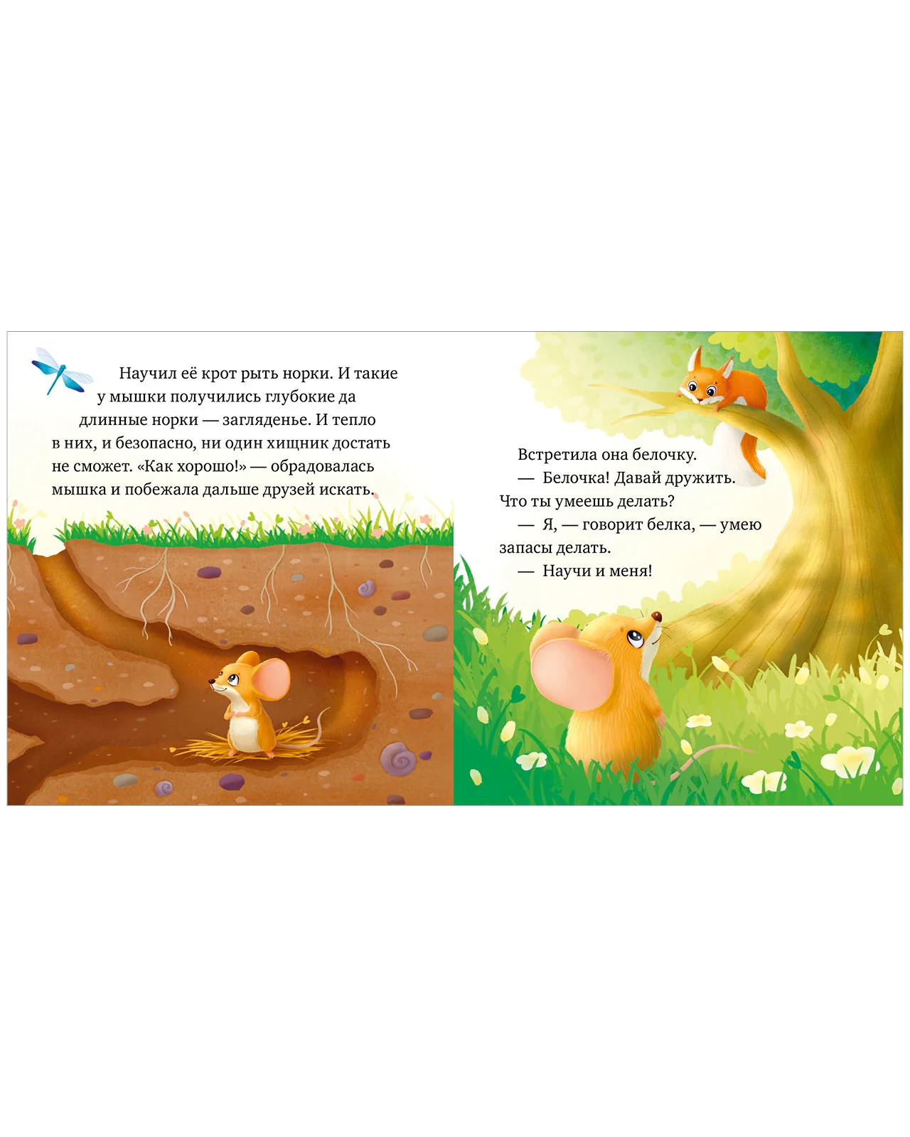 Любознательный малыш. Зверята в лесу - Image 4