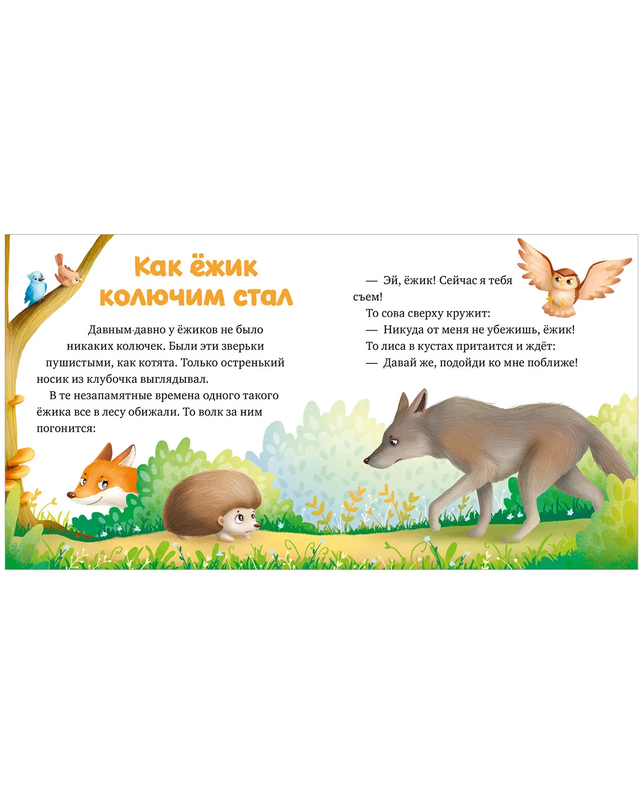 Любознательный малыш. Зверята в лесу - Image 6