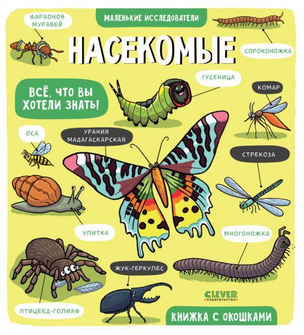 Маленькие исследователи. Насекомые