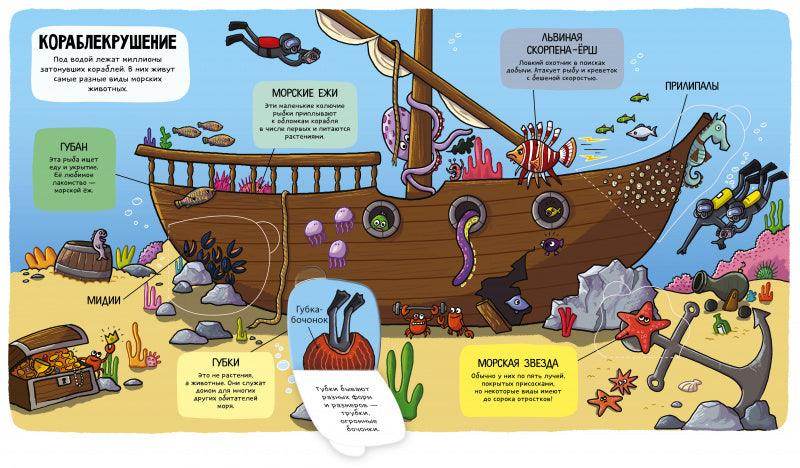 Маленькие исследователи. Океаны и моря - Image 7