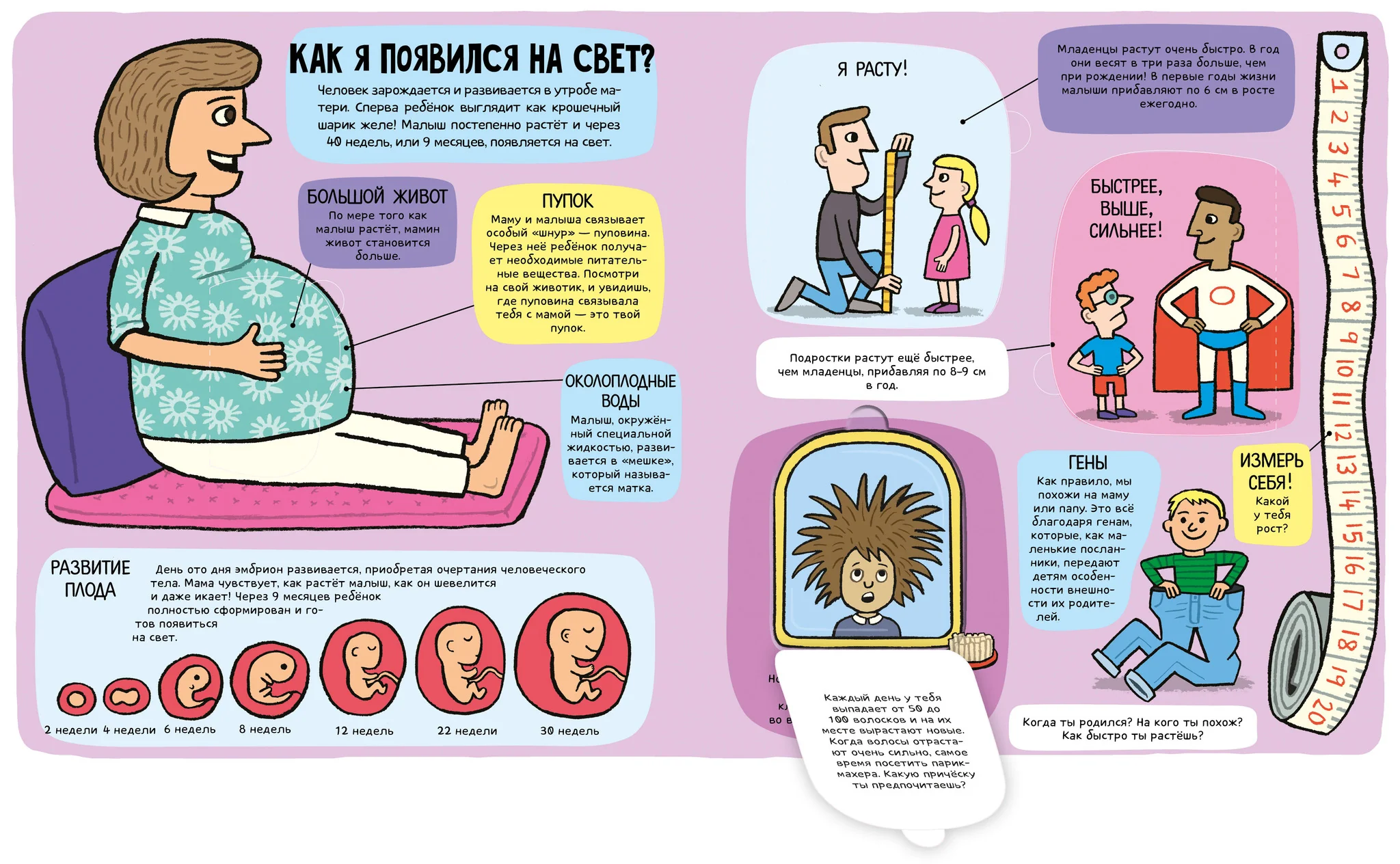 Маленькие исследователи. Удивительное тело - Image 11