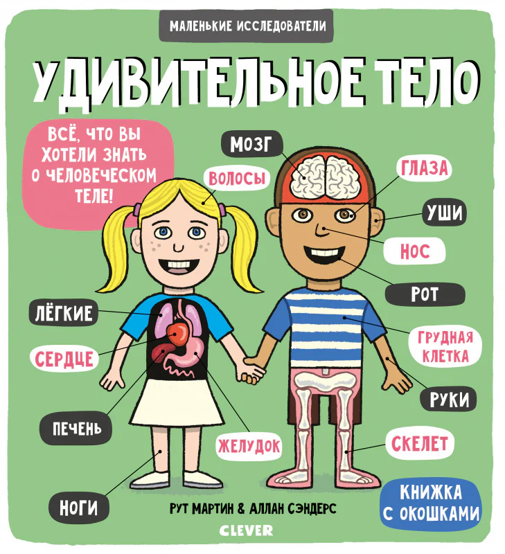Маленькие исследователи. Удивительное тело - Image 8