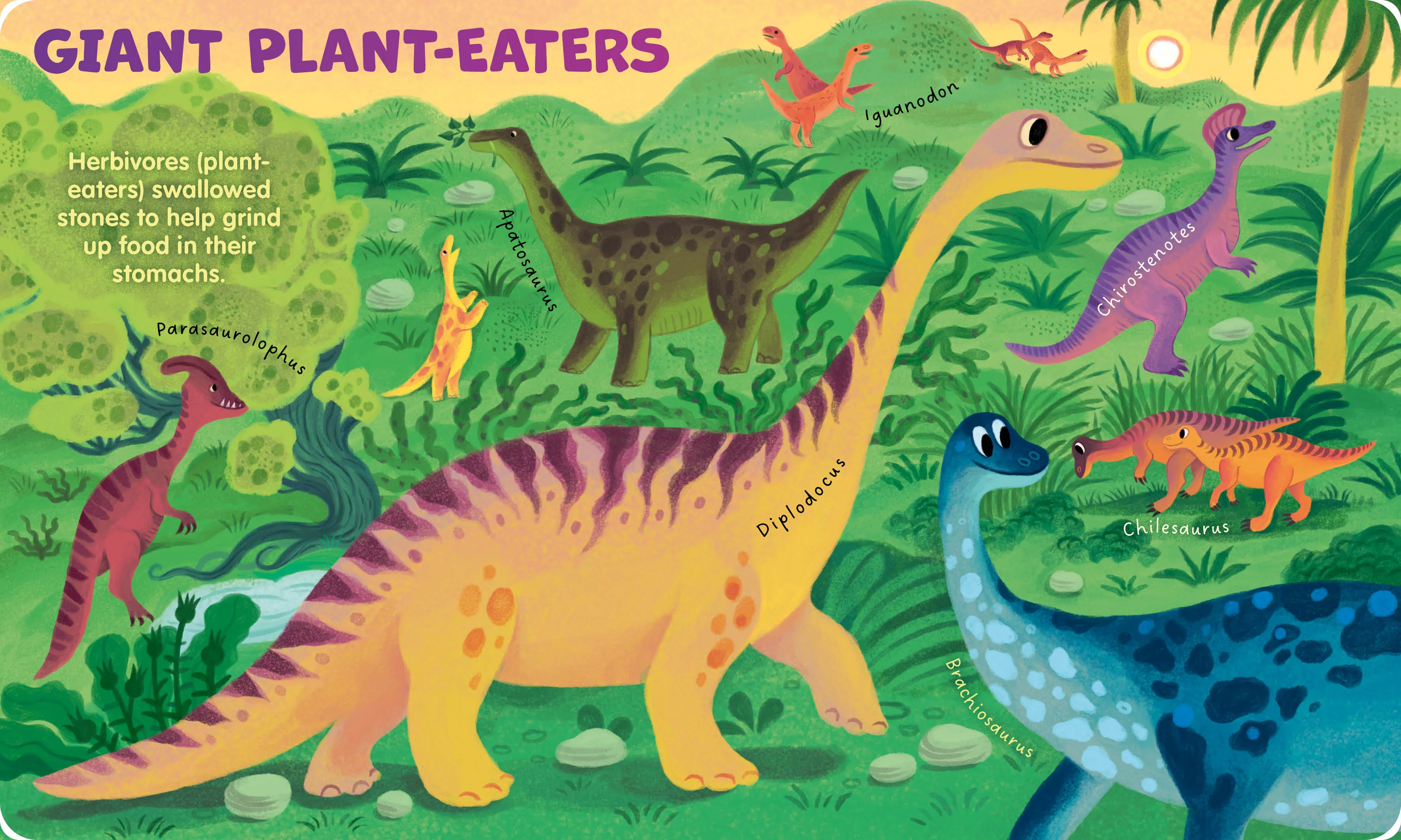 My First Lift-the-Flap: Dinosaurs - Image 7