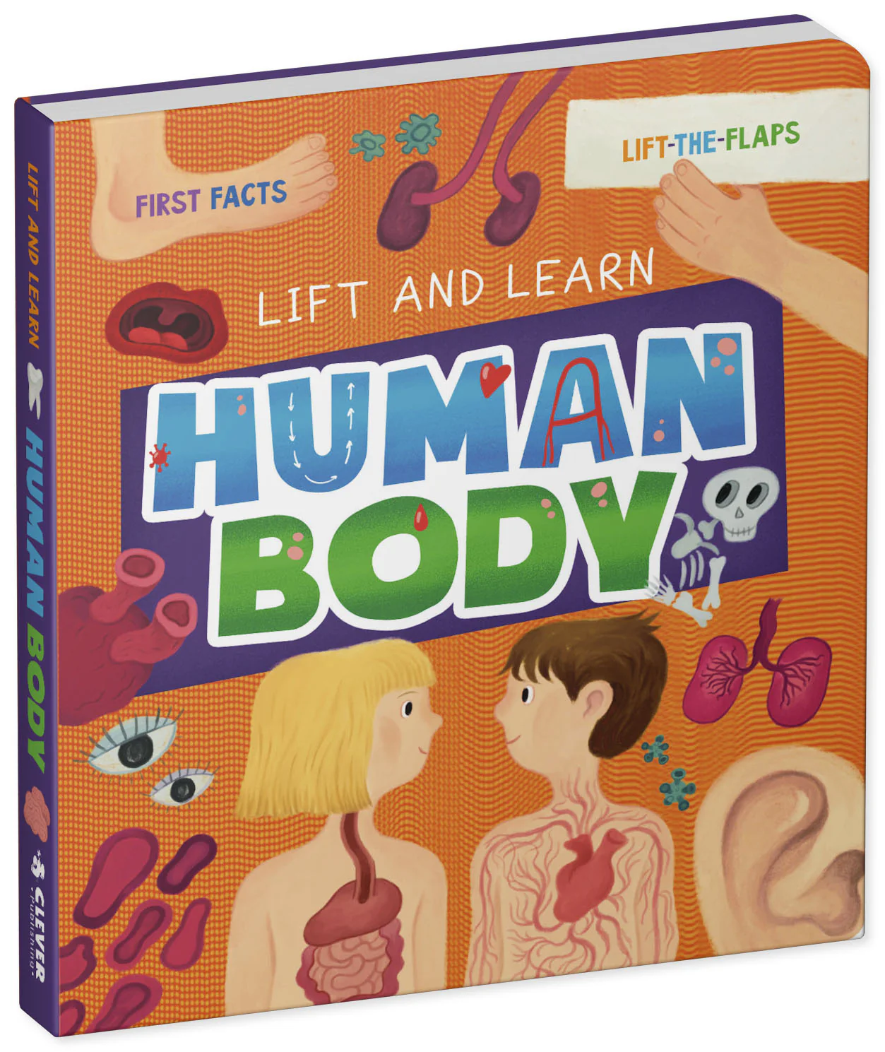 My First Lift-the-Flap: Human Body (Lift & Learn) - Image 2
