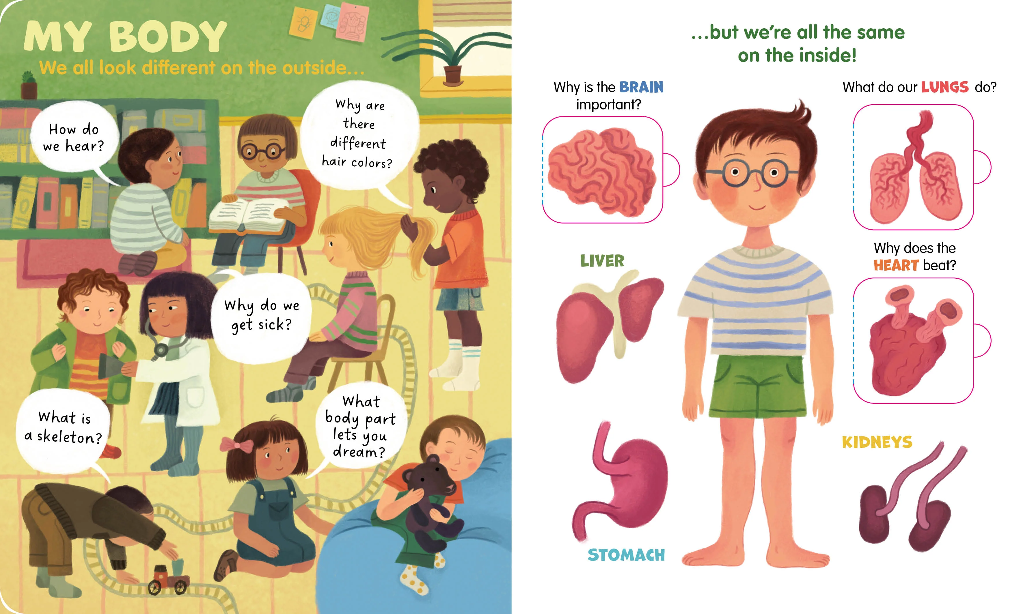 My First Lift-the-Flap: Human Body (Lift & Learn) - Image 3