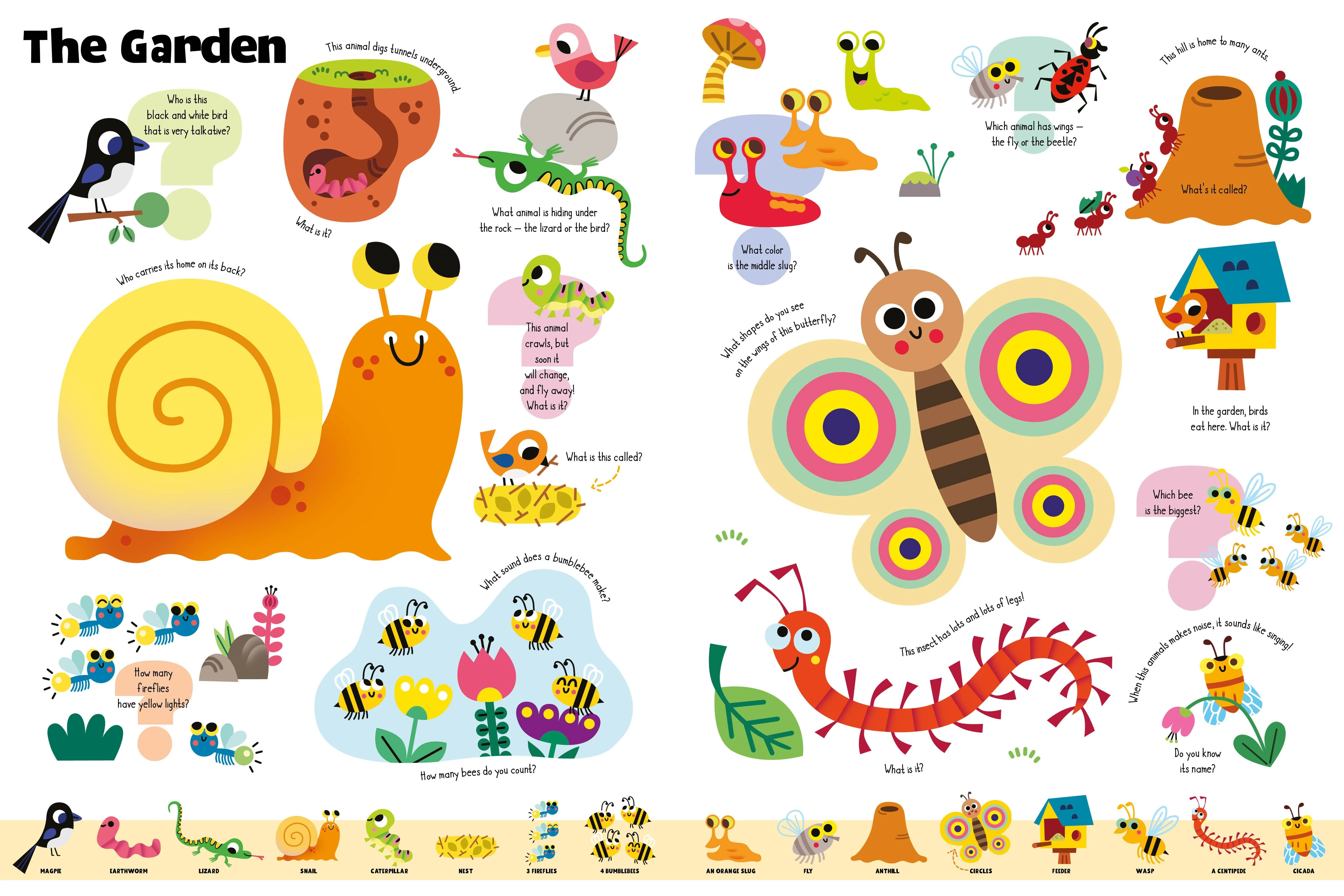 My First Quiz Picture Book of Animals - Image 4