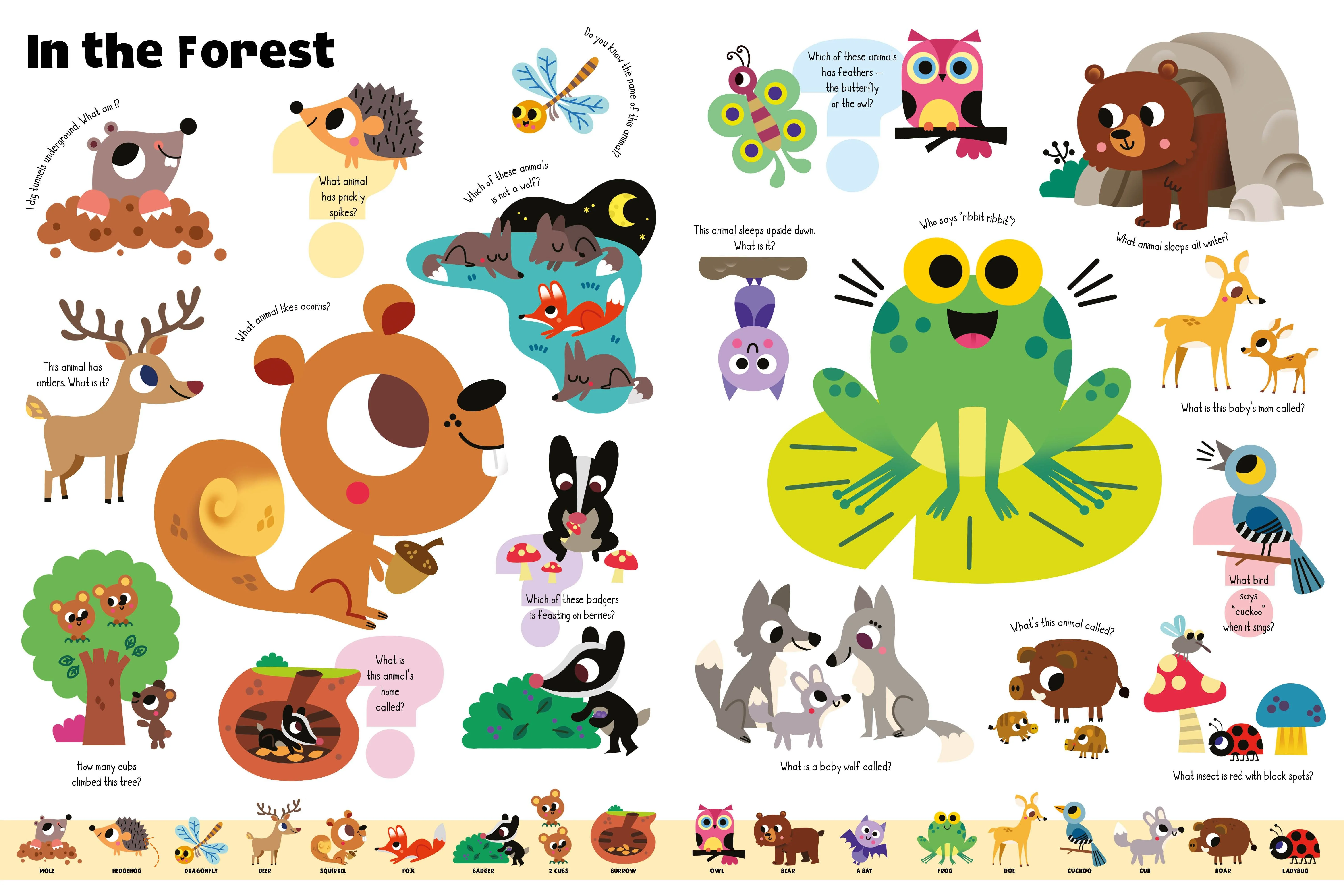 My First Quiz Picture Book of Animals - Image 7